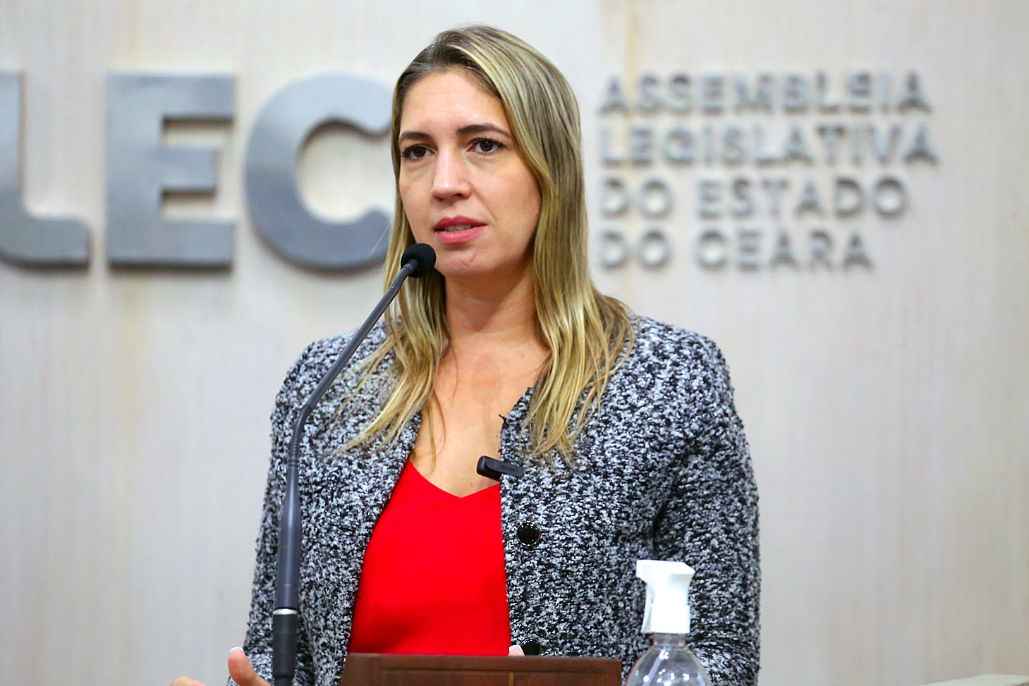 Larissa Gaspar ressalta projeto permanente de combate a crime contra mulher