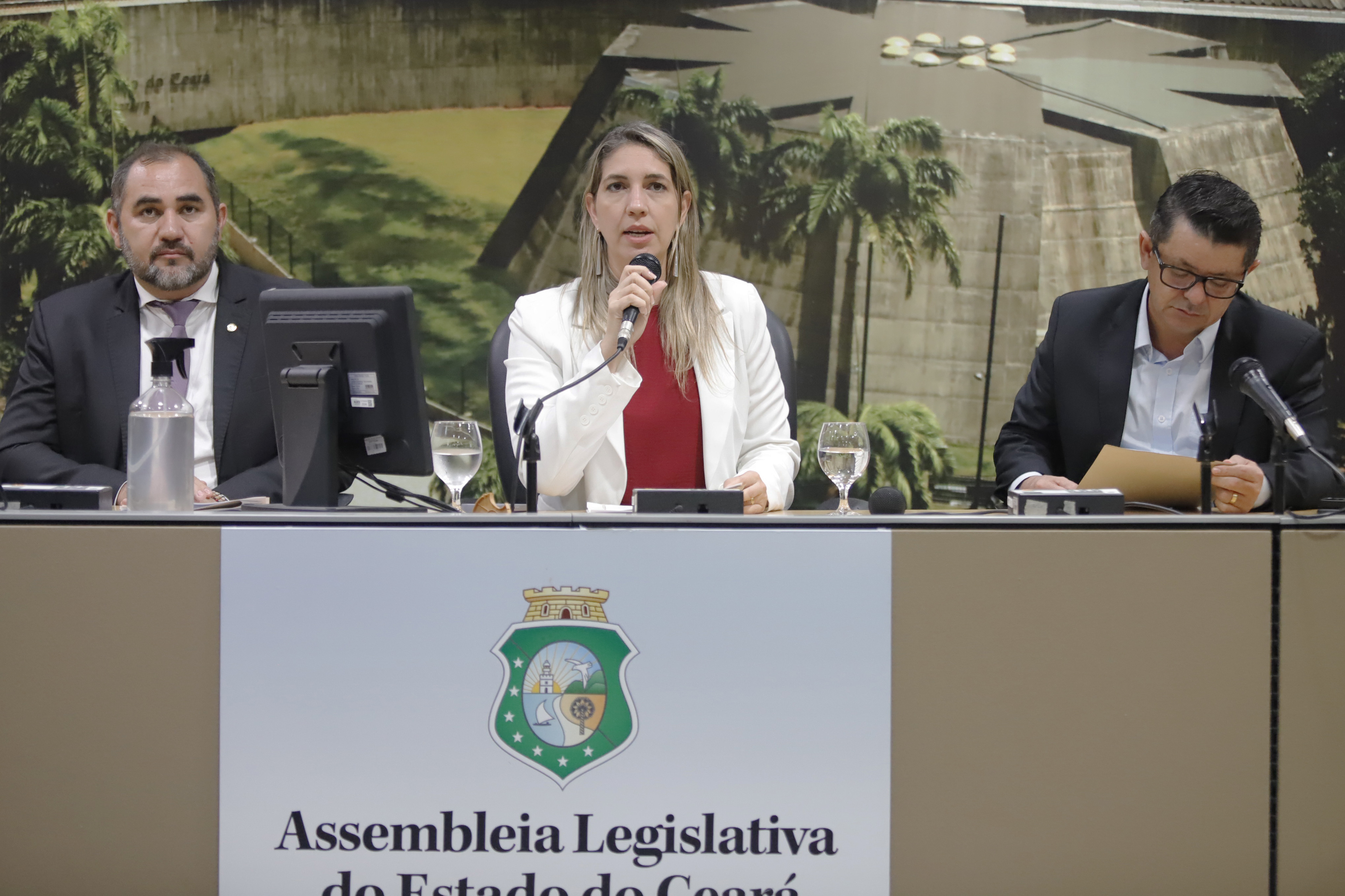 Reunião da Comissão de Direitos Humanos e Cidadania