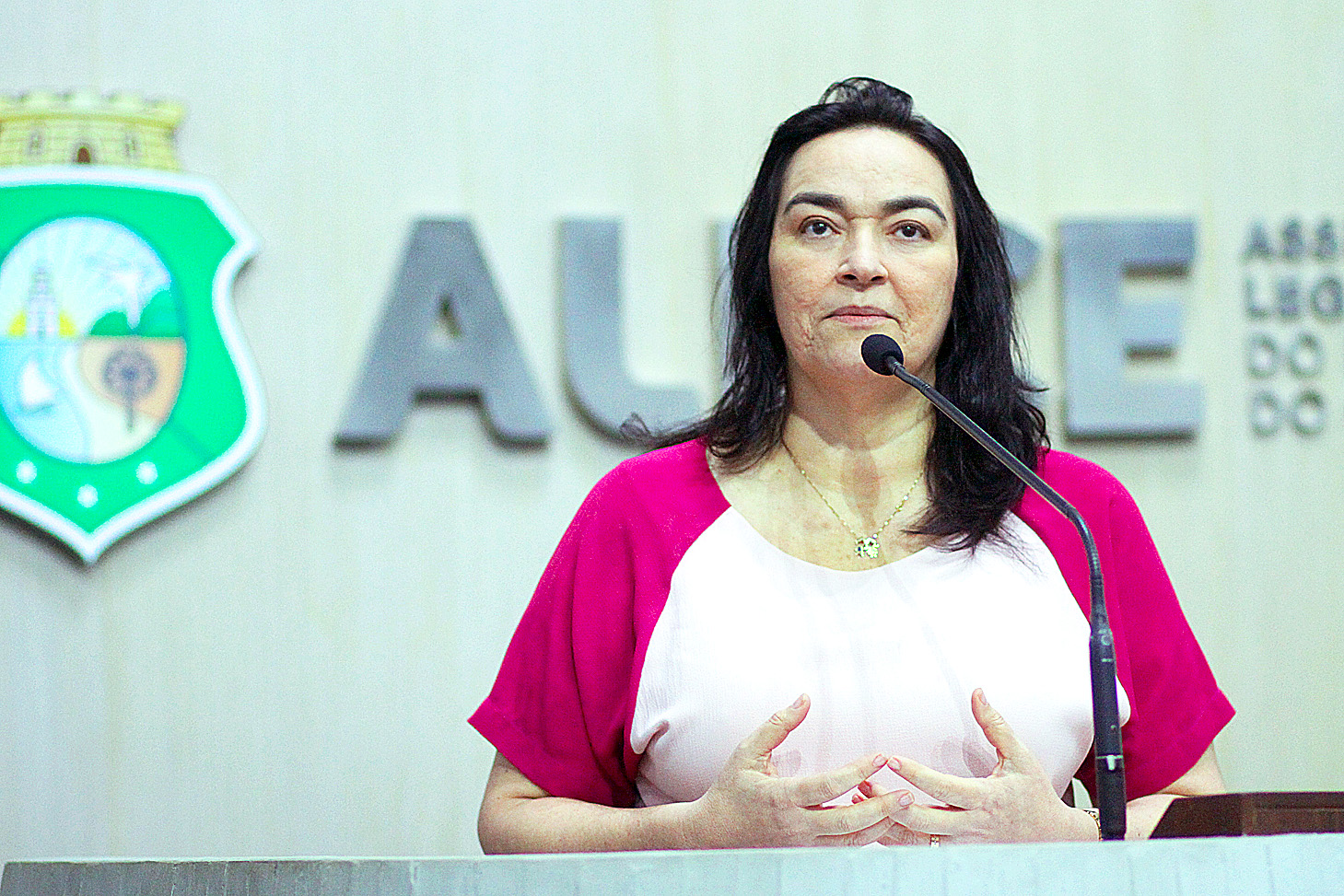 Deputada Dra. Silvana (PL)