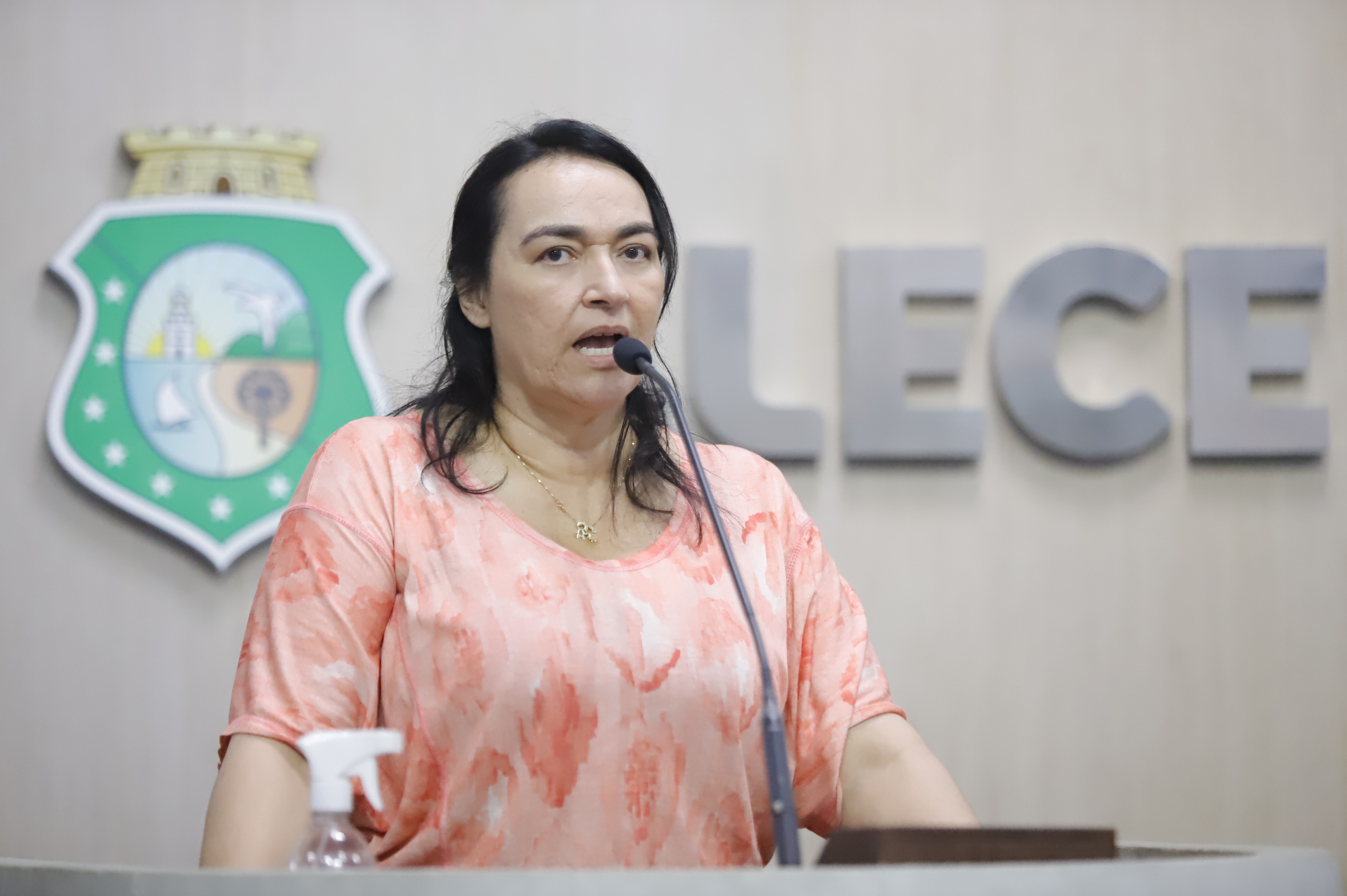 Dra. Silvana cobra mais segurança no acesso ao IJF