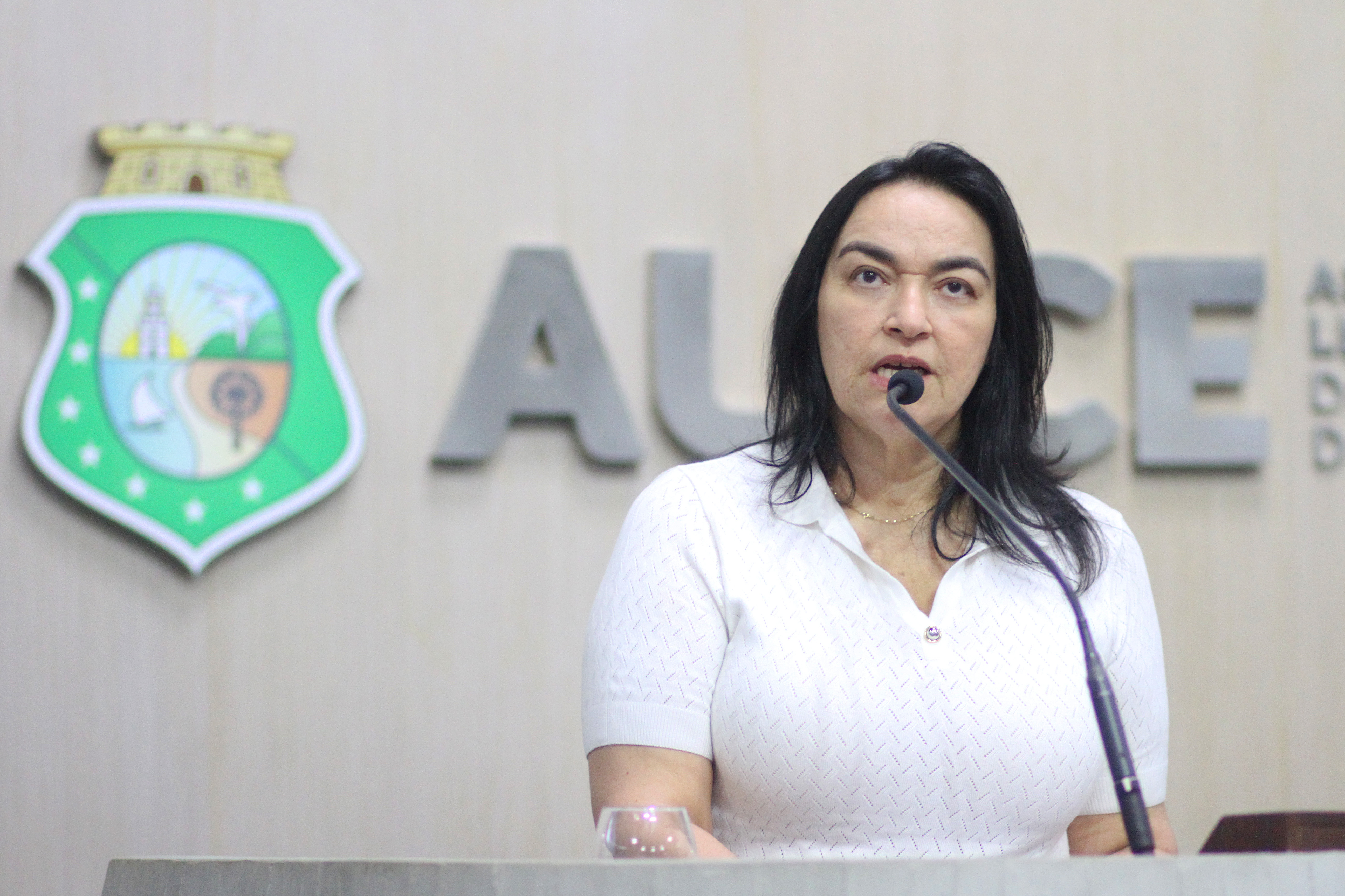 Deputada Dra. Silvana (PL)