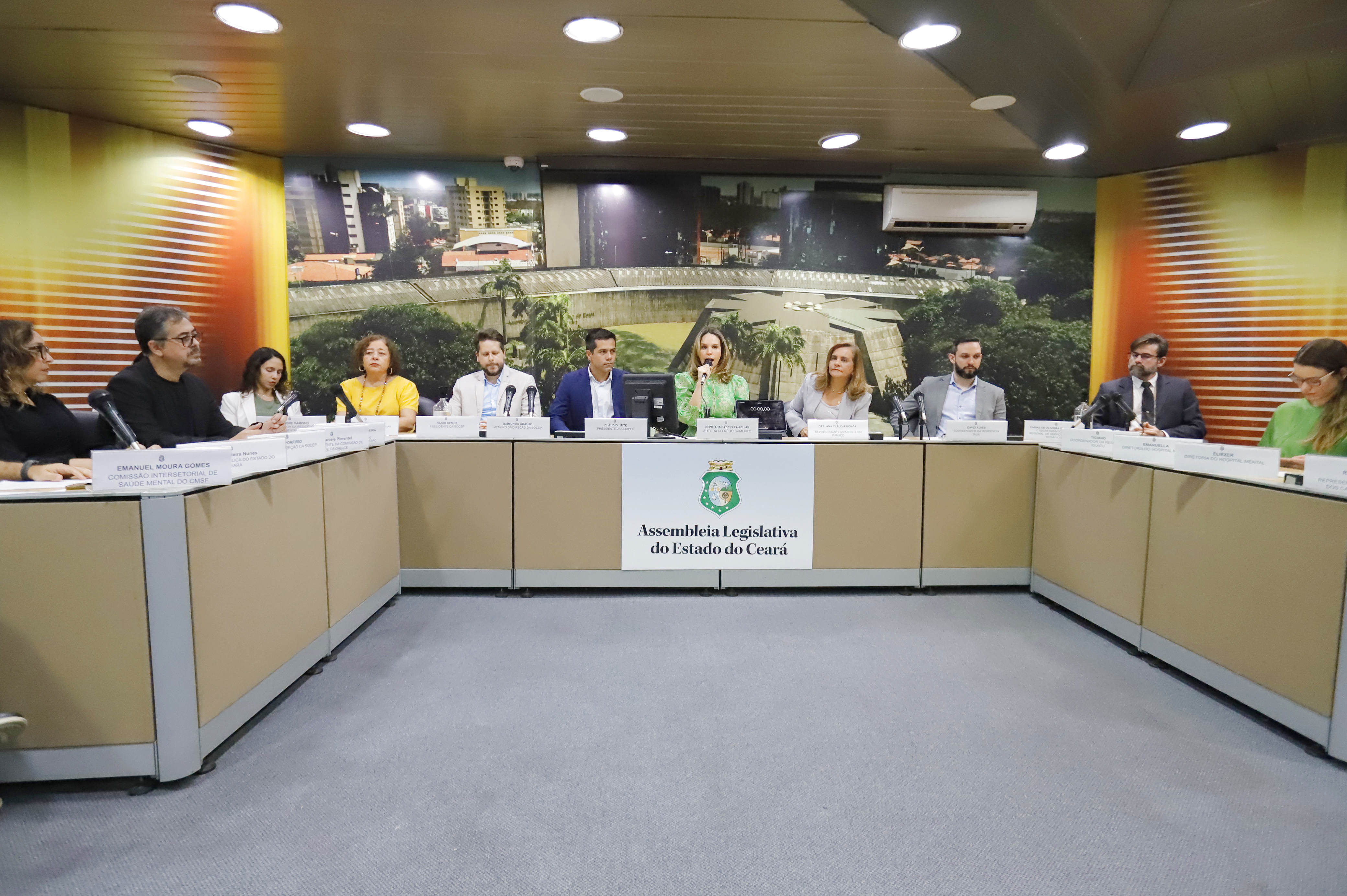 Profissionais e entidades defendem melhorias da rede de atendimento à  saúde mental