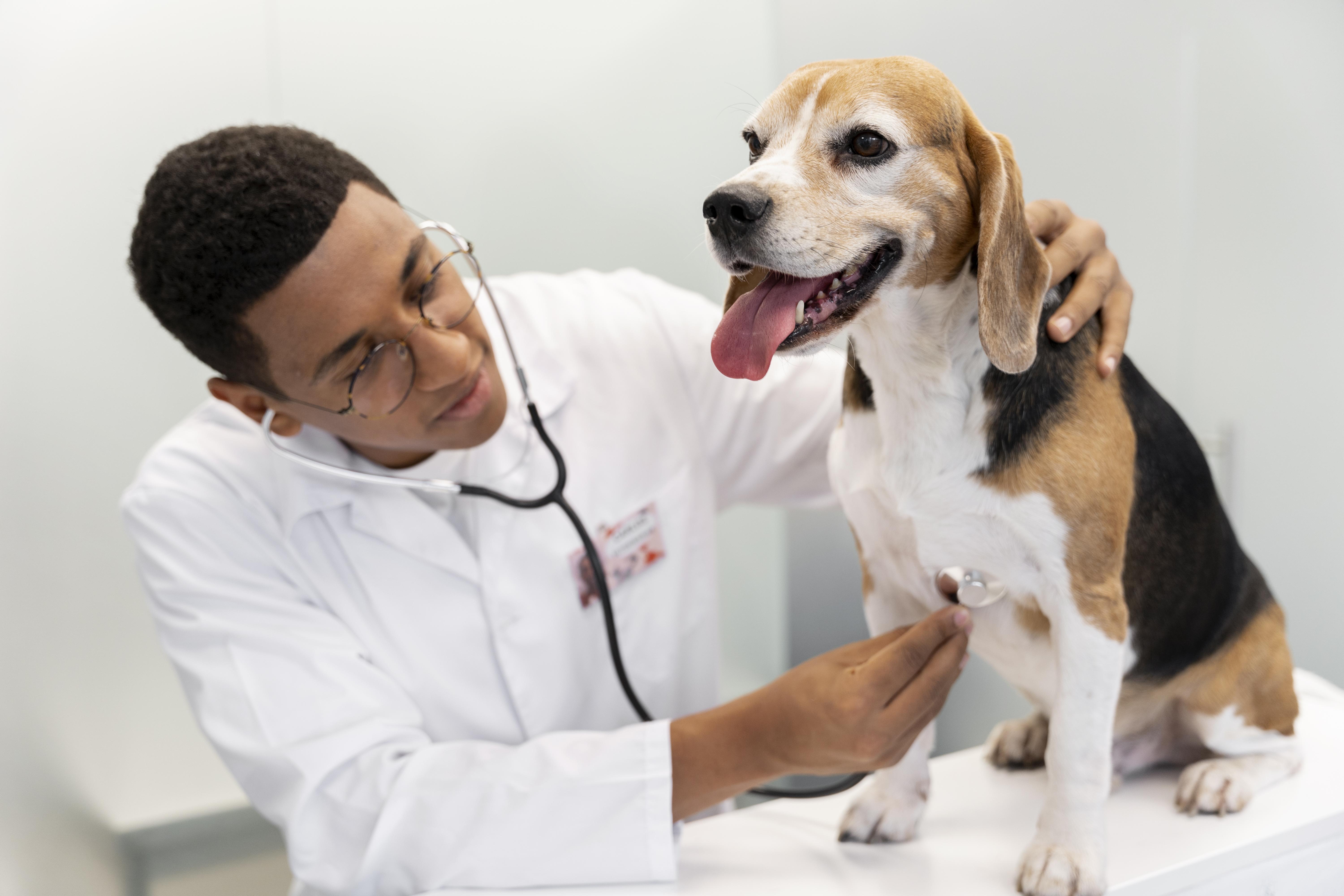 Assembleia Legislativa homenageia médicos veterinários nesta sexta-feira