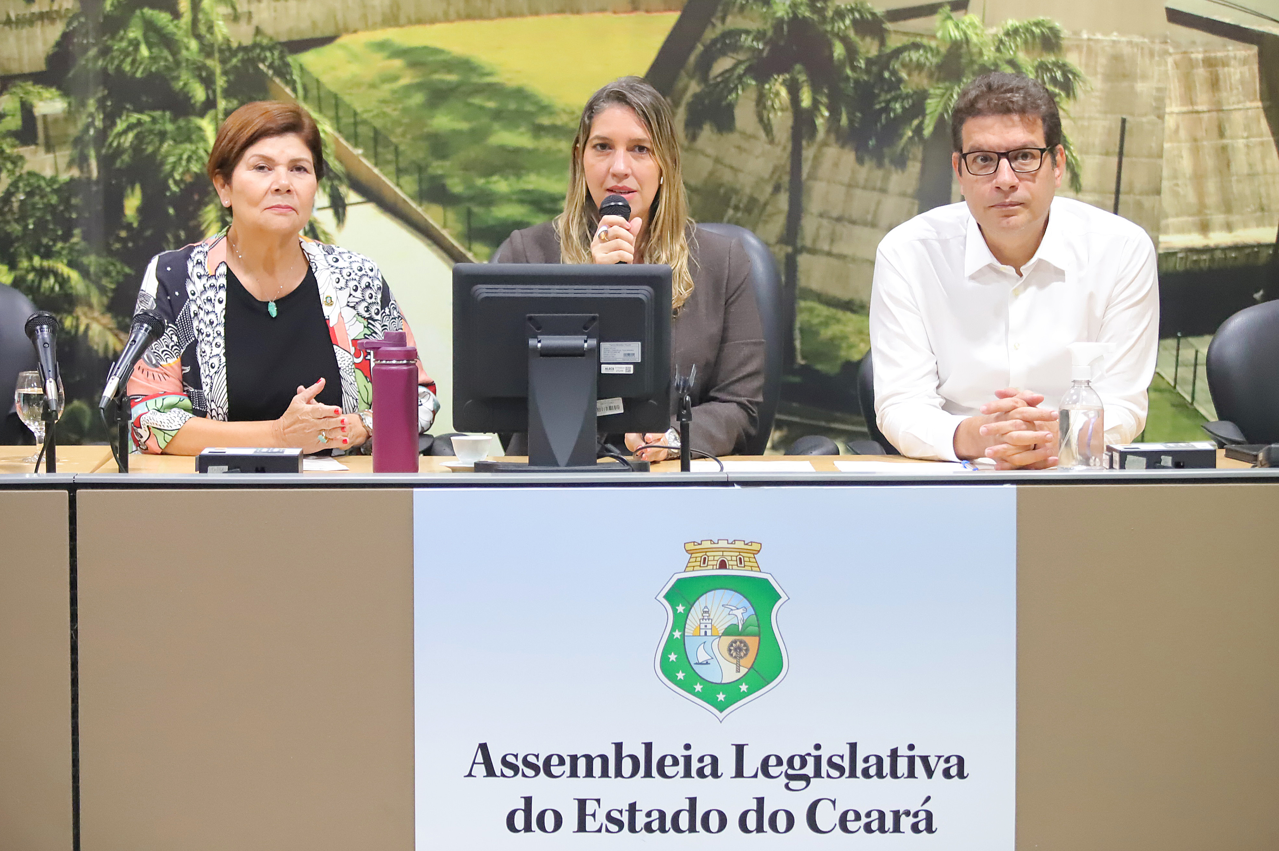 Comissão de Proteção Social e Combate à Fome é presidida pela deputada Larissa Gaspar