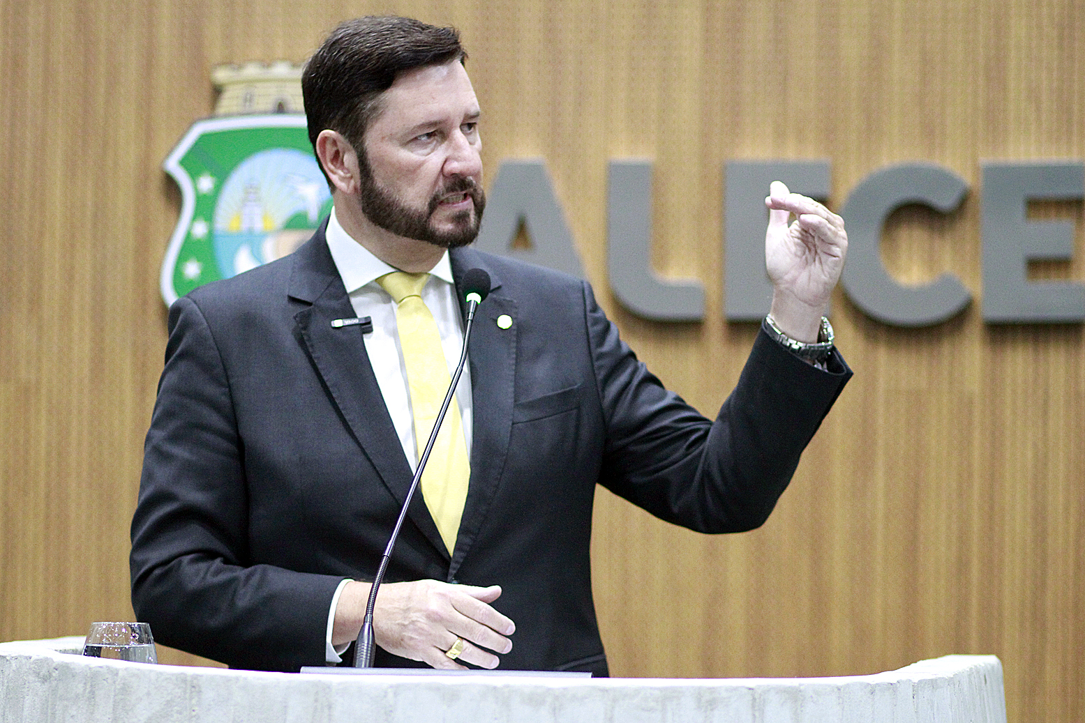 Deputado Romeu Aldigueri (PDT)