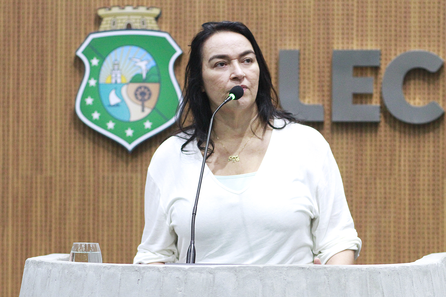 Deputada Dra. Silvana (PL)