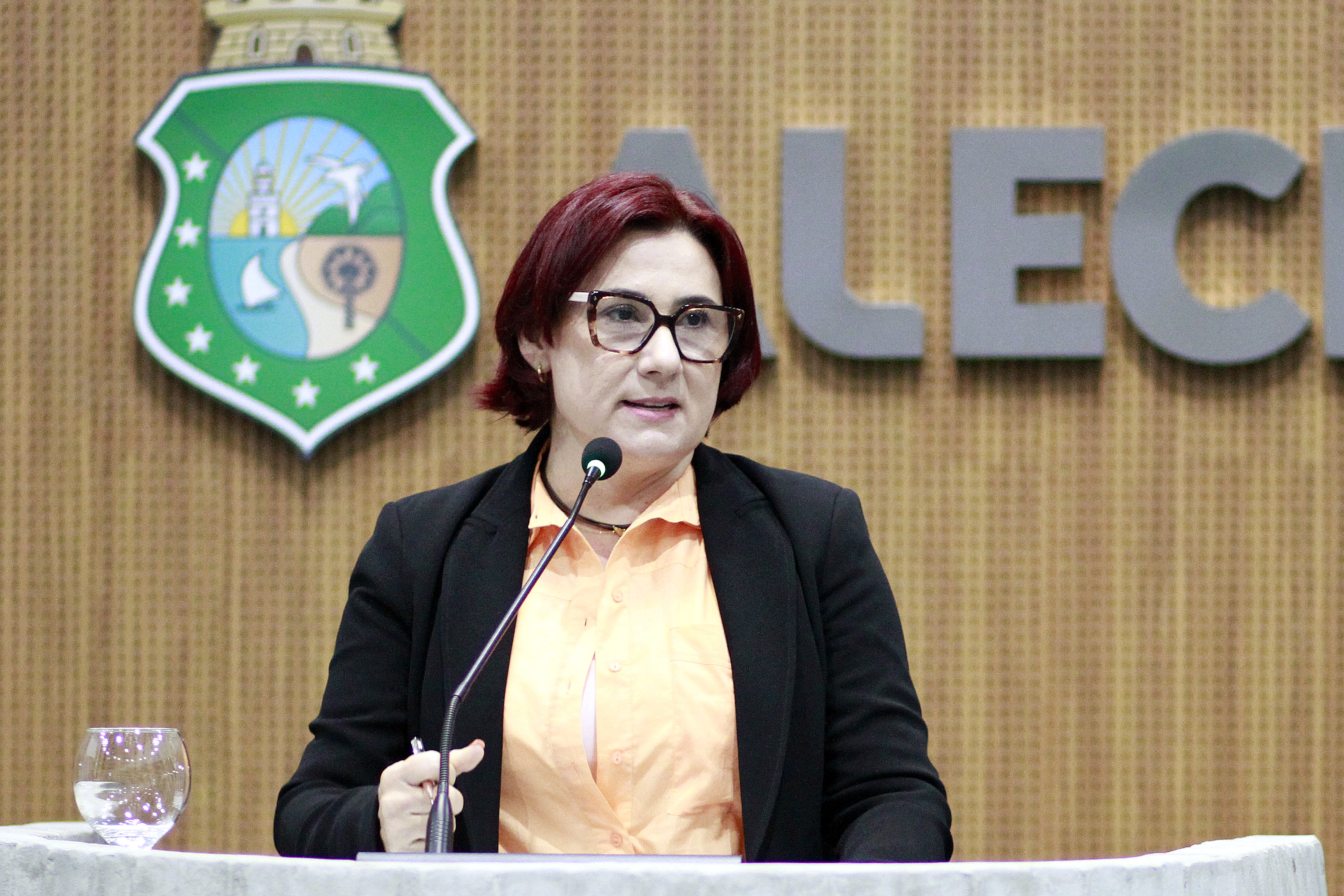 Deputada Emilia Pessoa (PSDB)