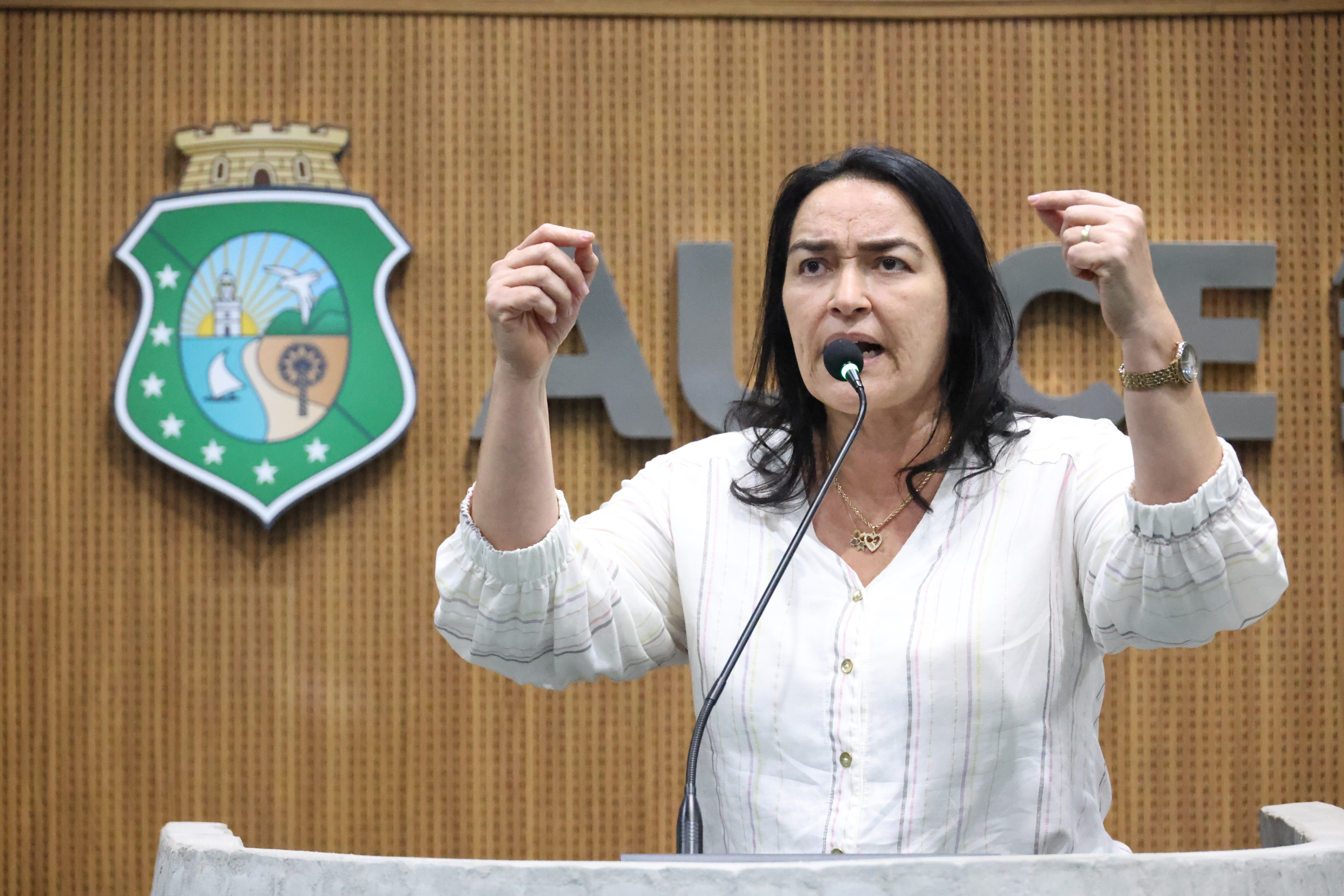 Dra. Silvana critica mensagem do Governo que disponibiliza livros sagrados nas escolas