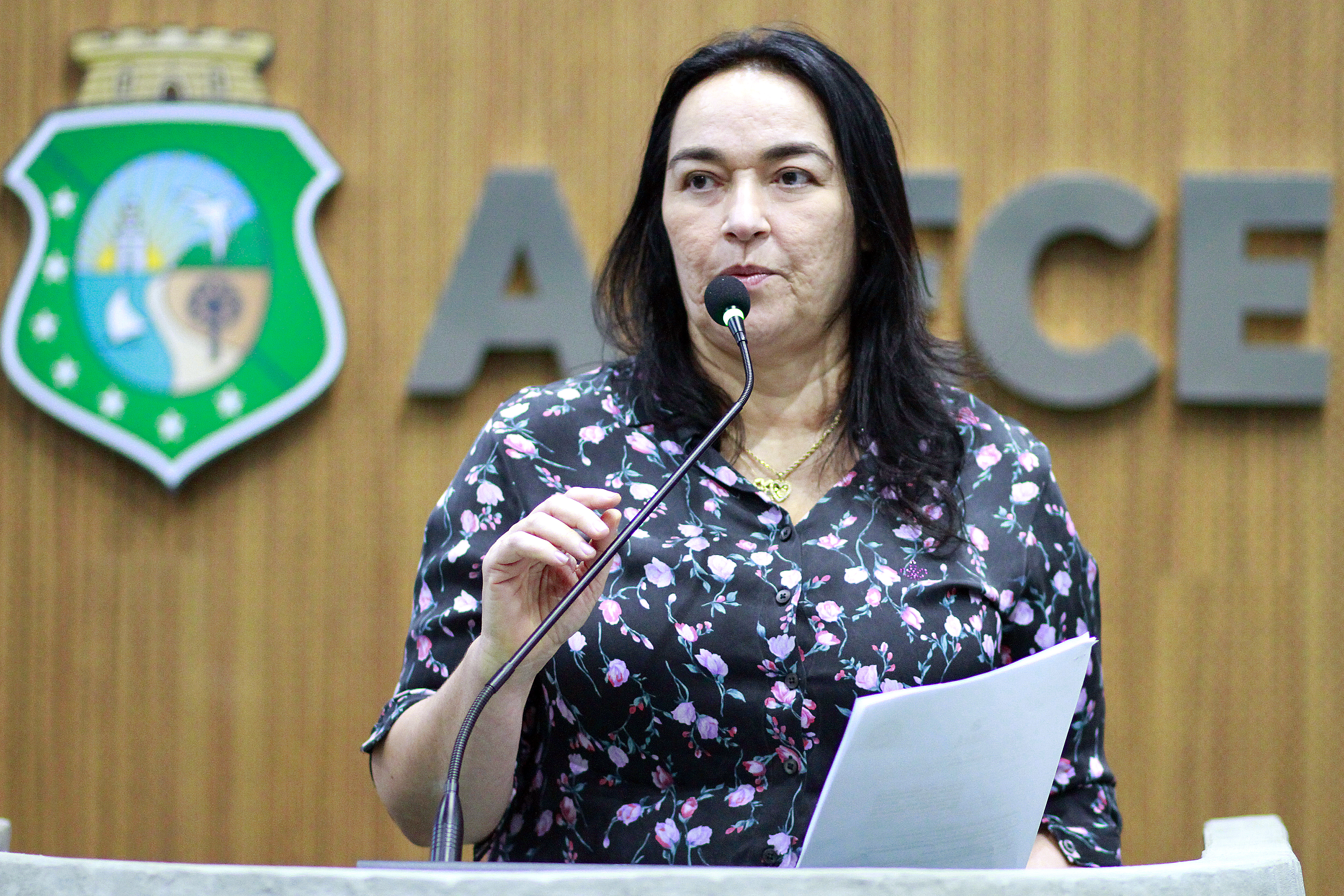 Deputada Dra. Silvana (PL)