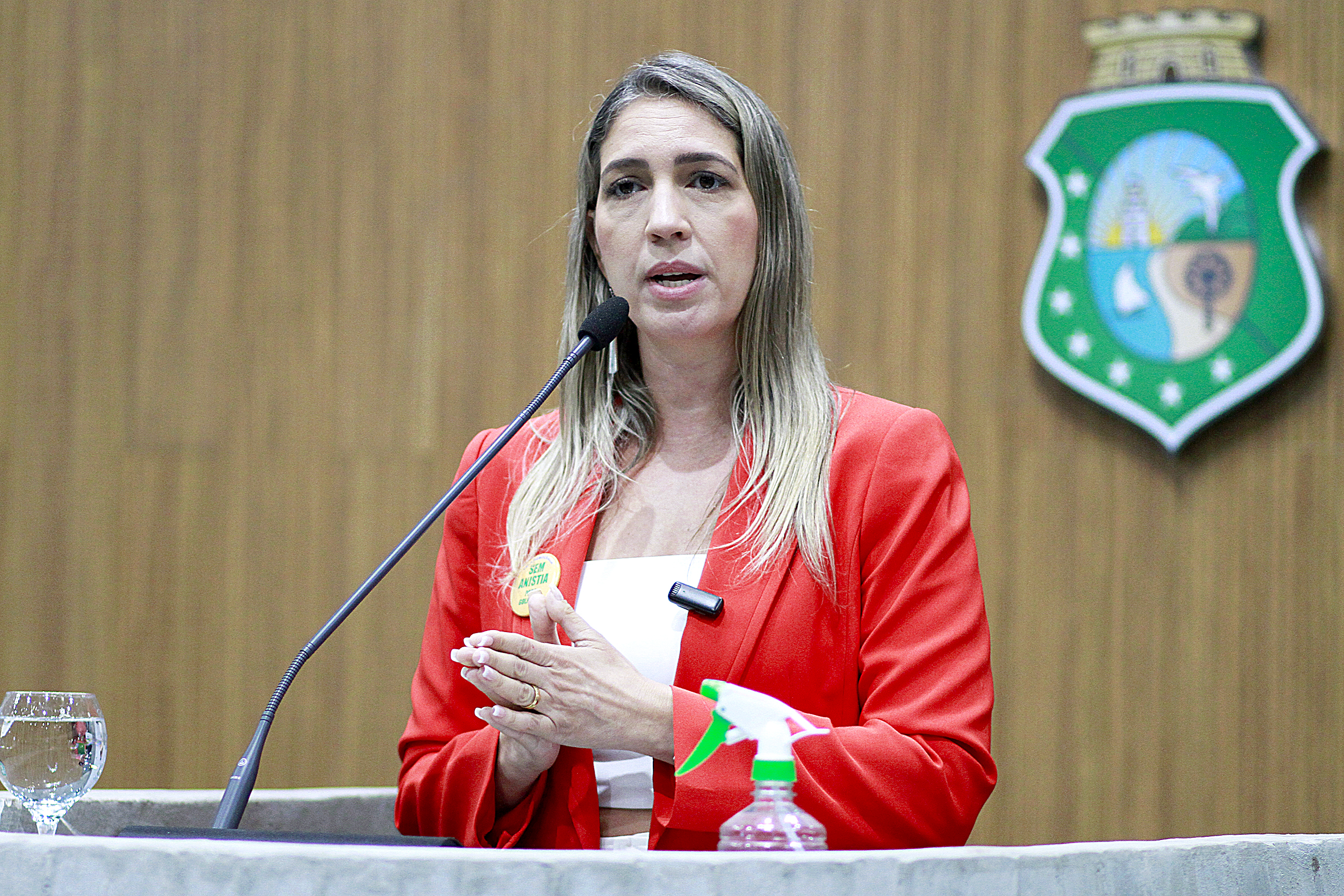 Deputada Larissa Gaspar (PT)
