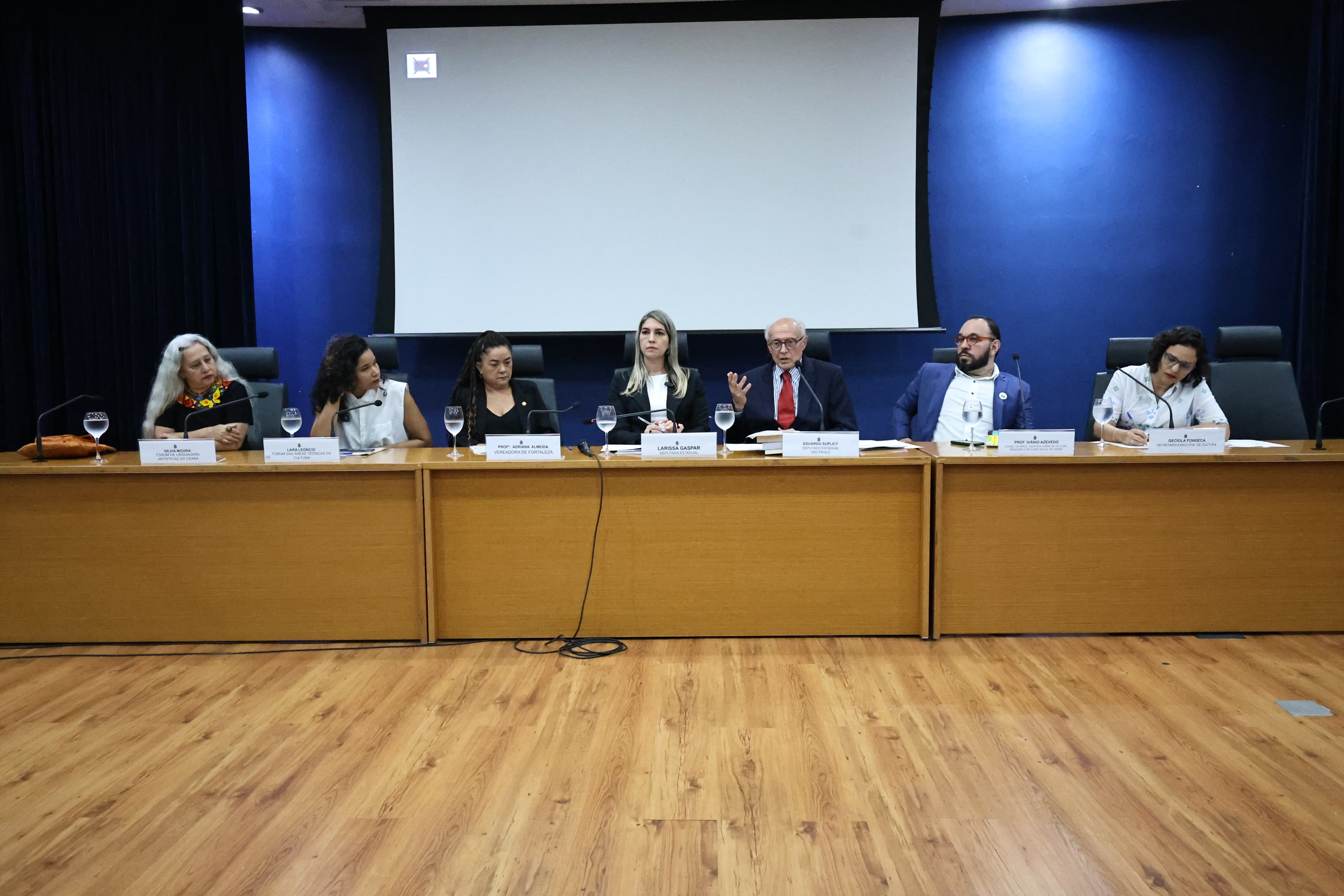 Audiência pública debate viabilidade de programa de renda mínima para fazedores de cultura no Ceará