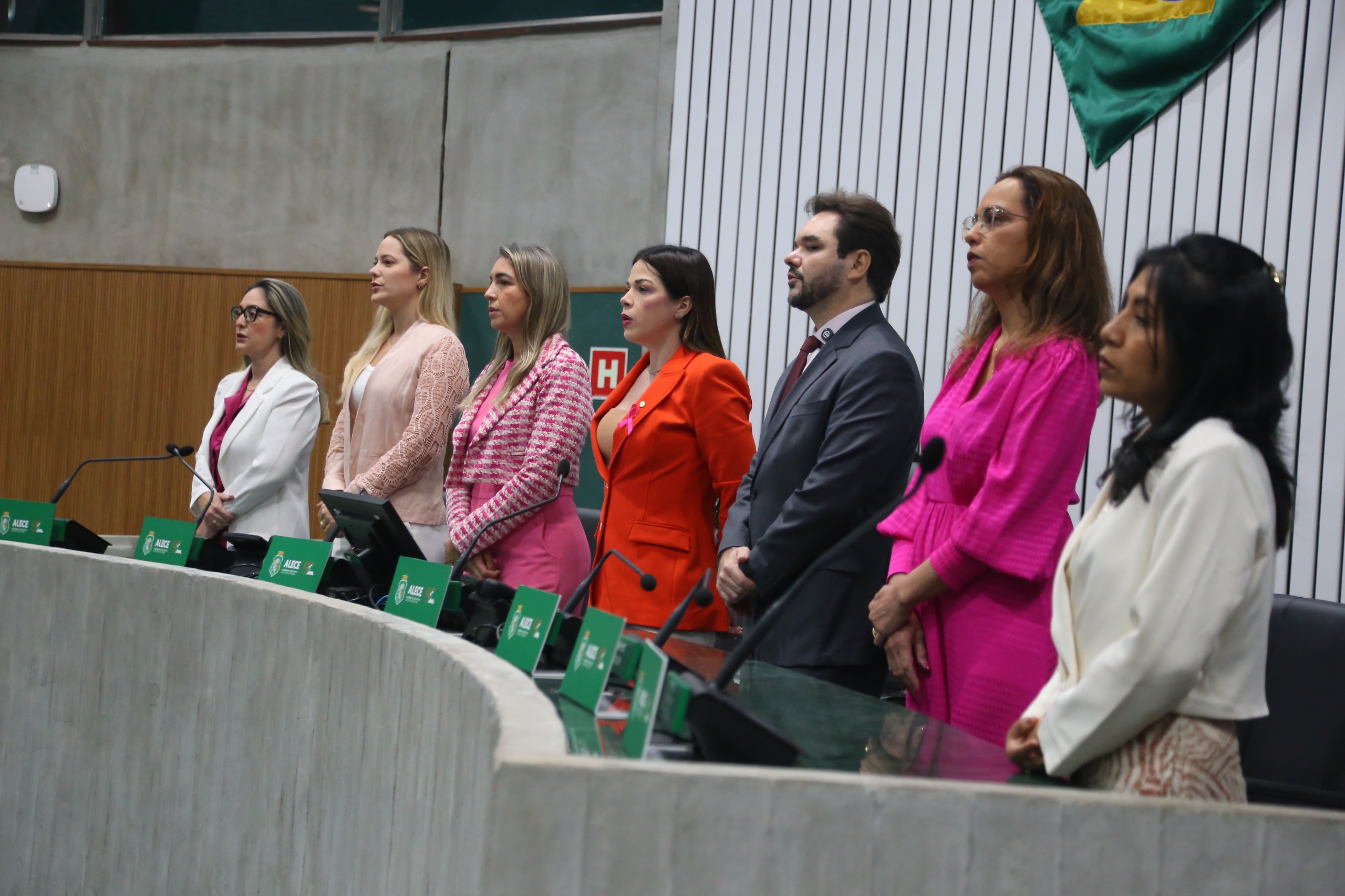 A cerimônia reuniu diversas entidades e atores que lutam diariamente pela saúde das mulheres