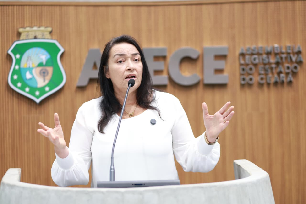 Deputada Dra. Silvana (PL)