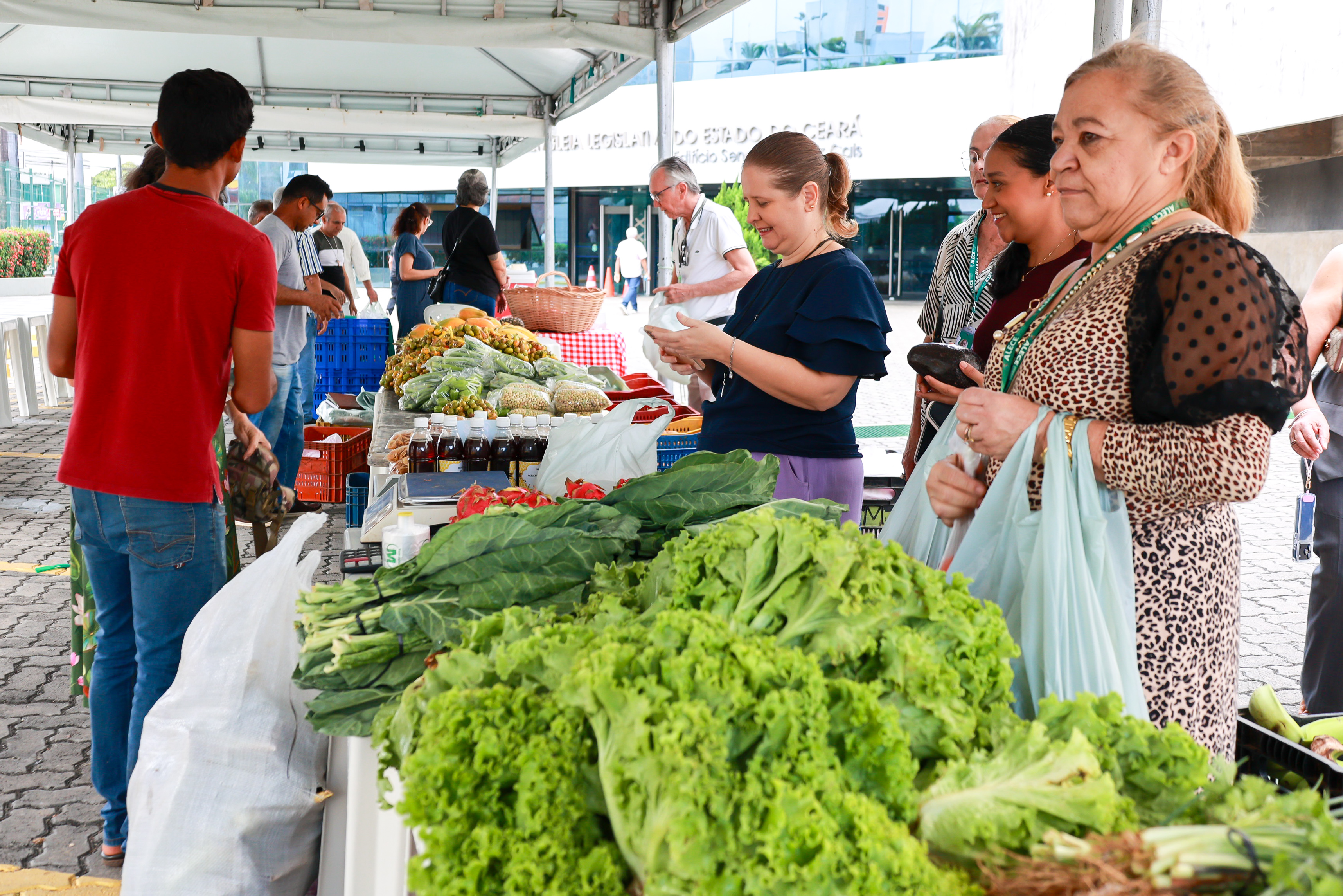 Imagem relacionada à matéria