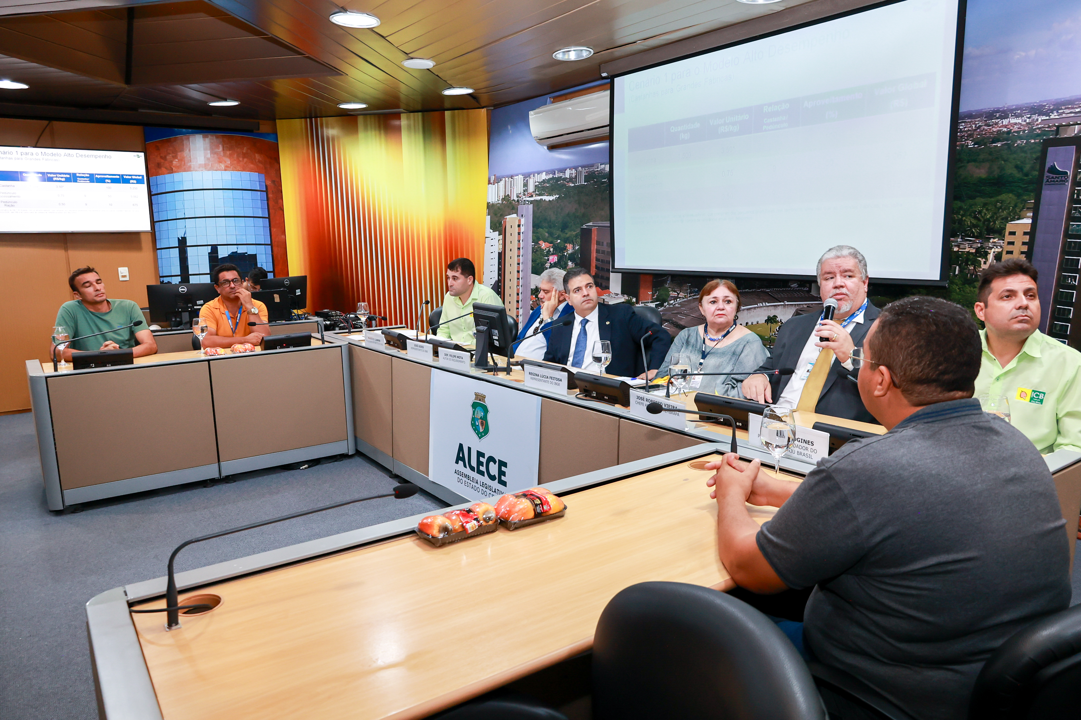 Audiência foi realizada no Complexo de Comissões Técnicas da Alece