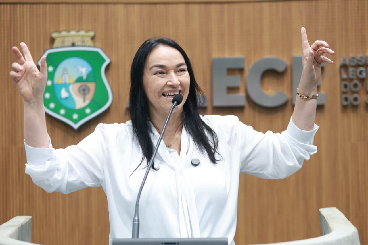 Deputada Dra. Silvana (PL)