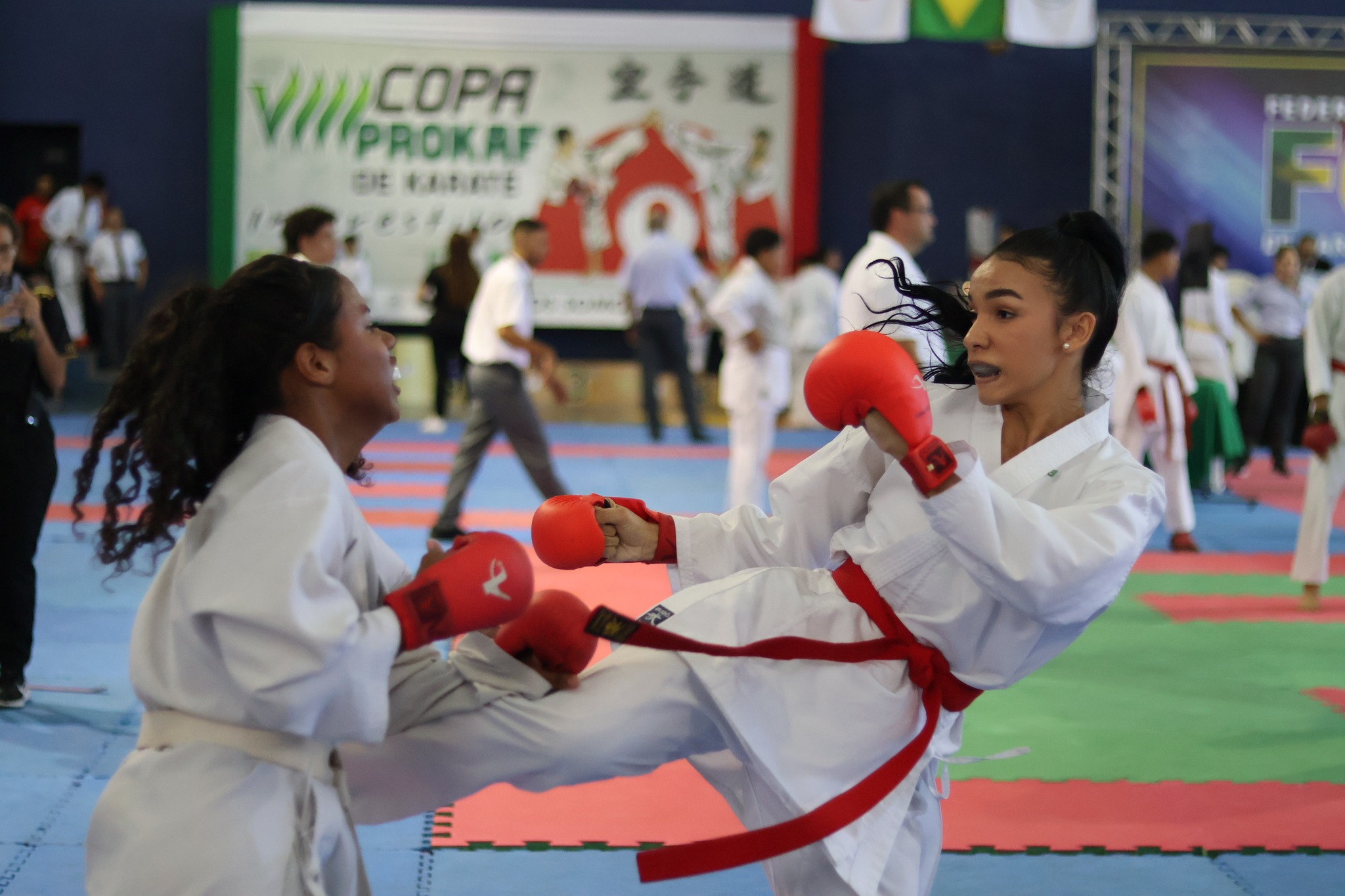 Alece realiza sessão solene em homenagem à Federação Cearense de Karatê Interestilos