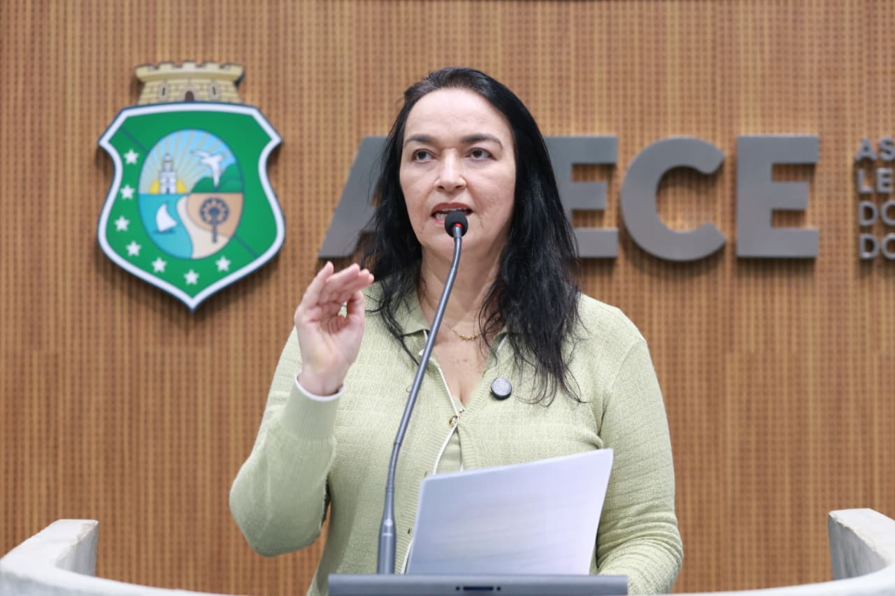 Deputada Dra. Silvana (PL)