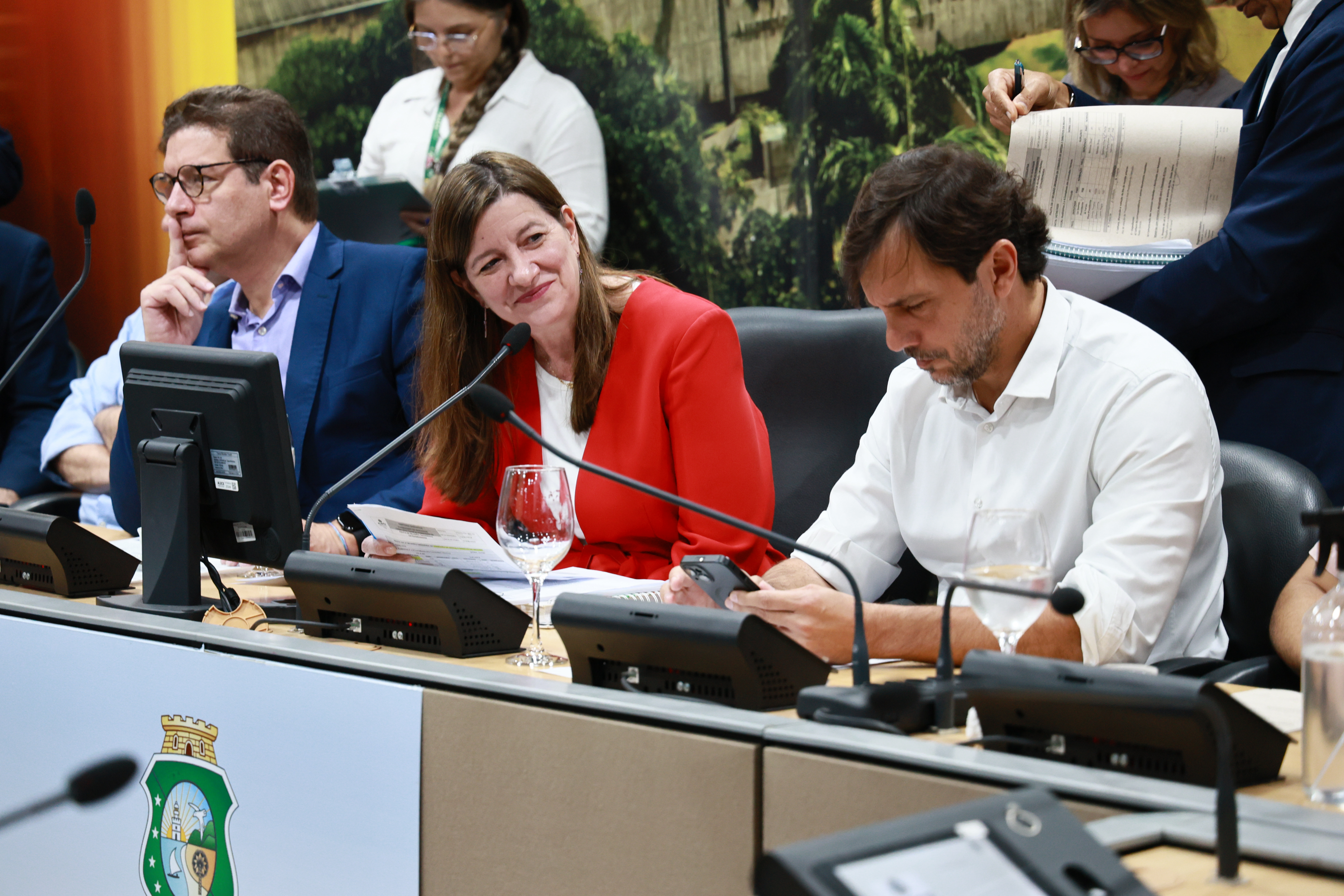 Reunião da Comissão de Defesa e Direitos da Mulher da Alece.