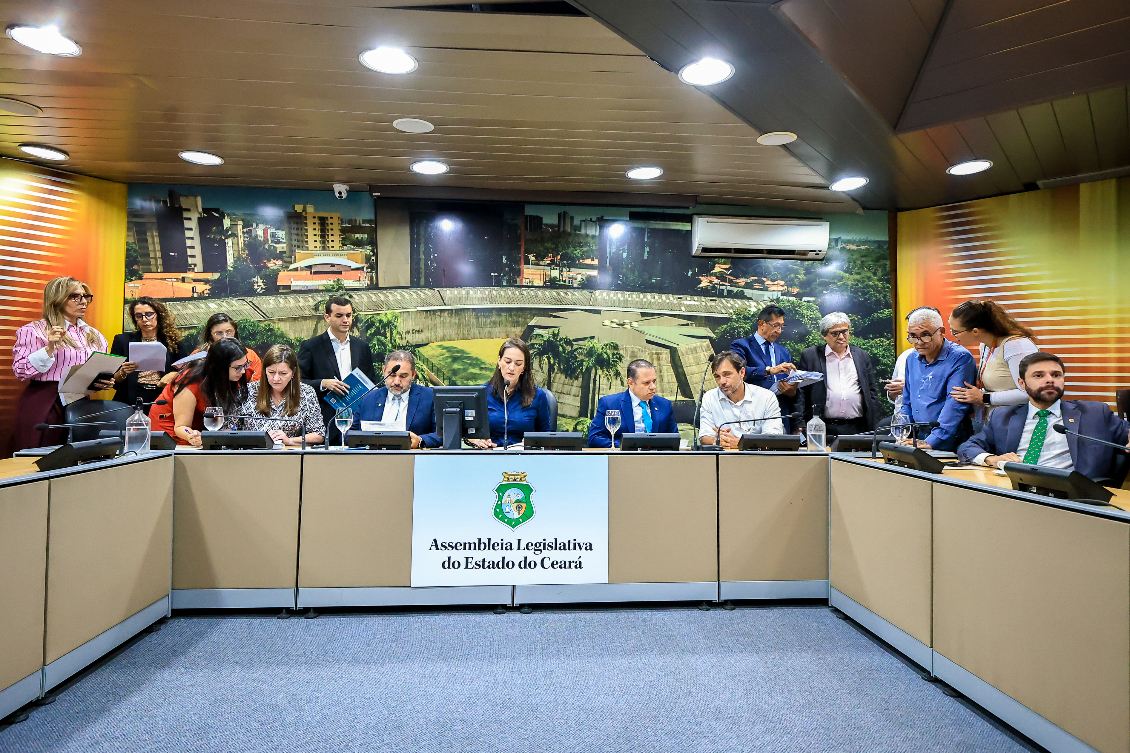 Comissão da Infância e Adolescência da Alece