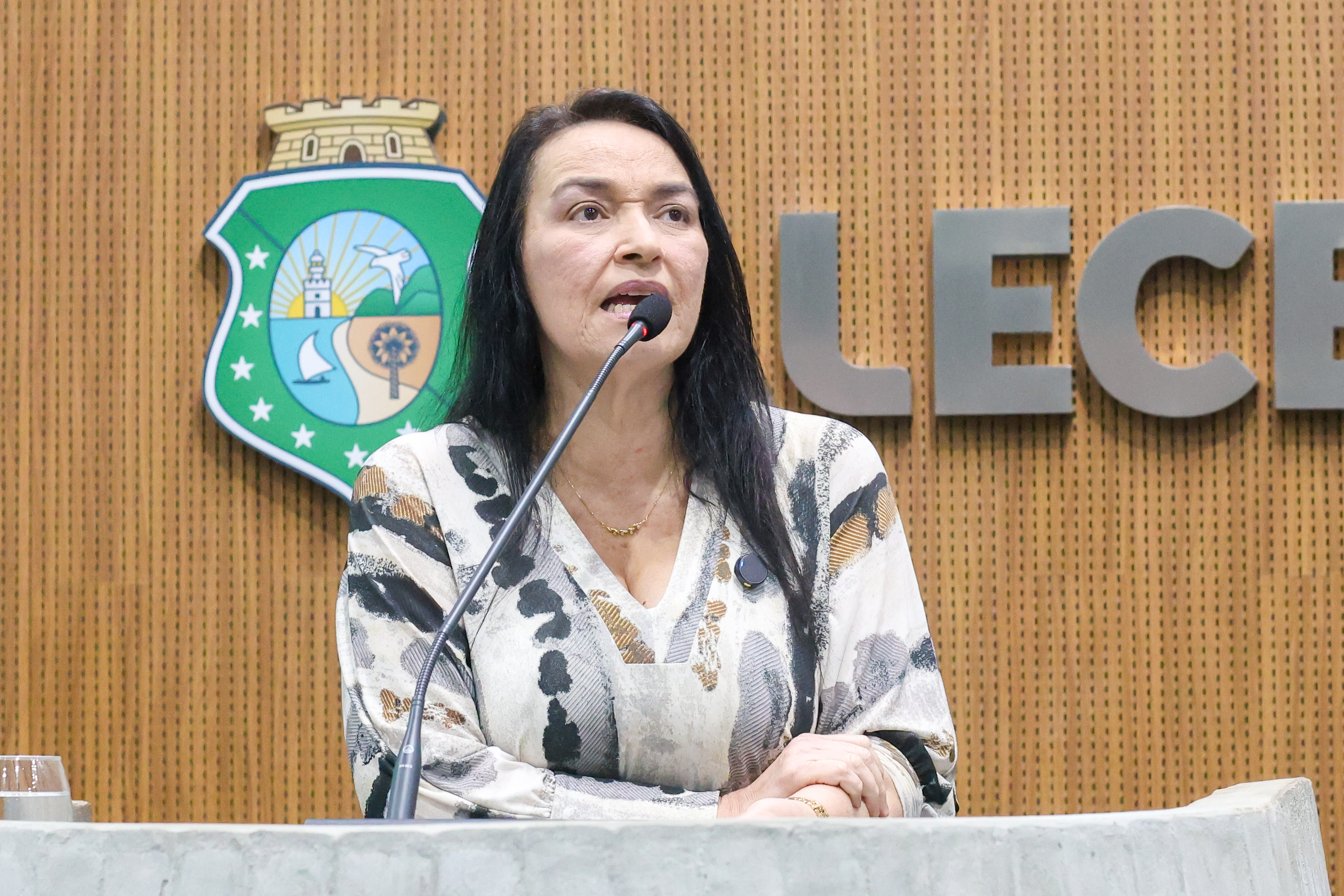 Deputada Dra. Silvana (PL)
