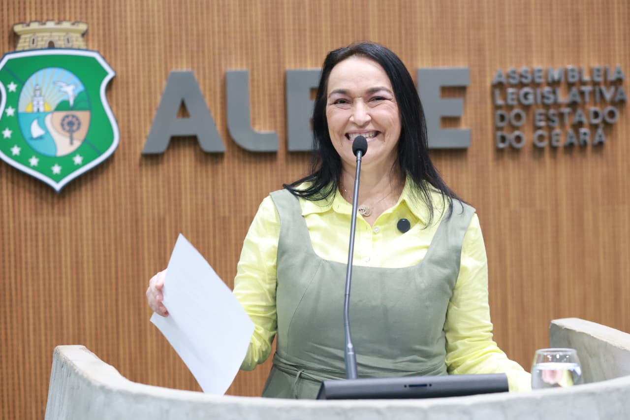 Dra. Silvana defende cadastro de condenados por agressão à mulher e anuncia projeto