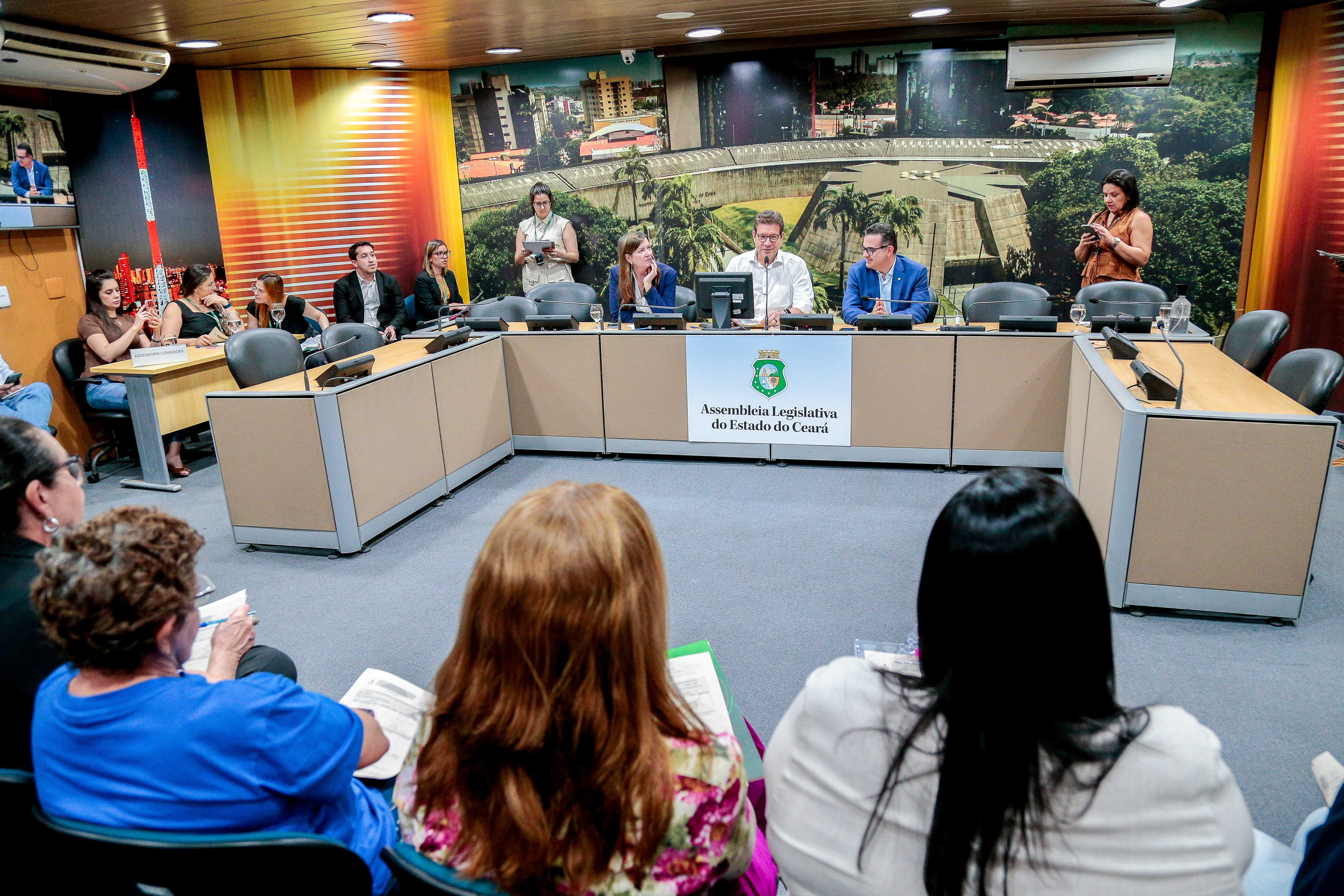 Reunião da Comissão de Direitos Humanos e Cidadania (CDHC) da Alece.