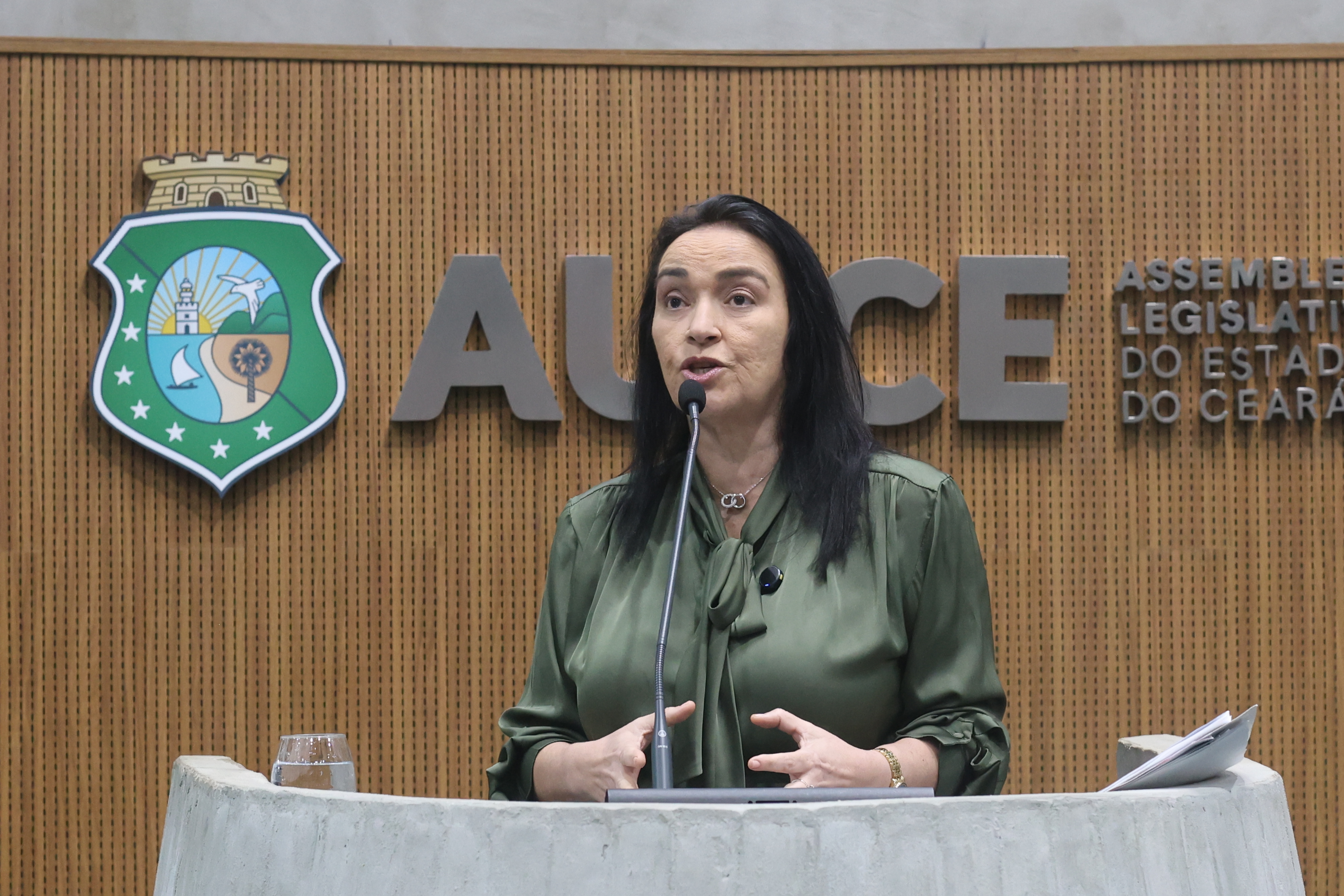 Dra. Silvana aponta contribuição do Pix para os pequenos negócios