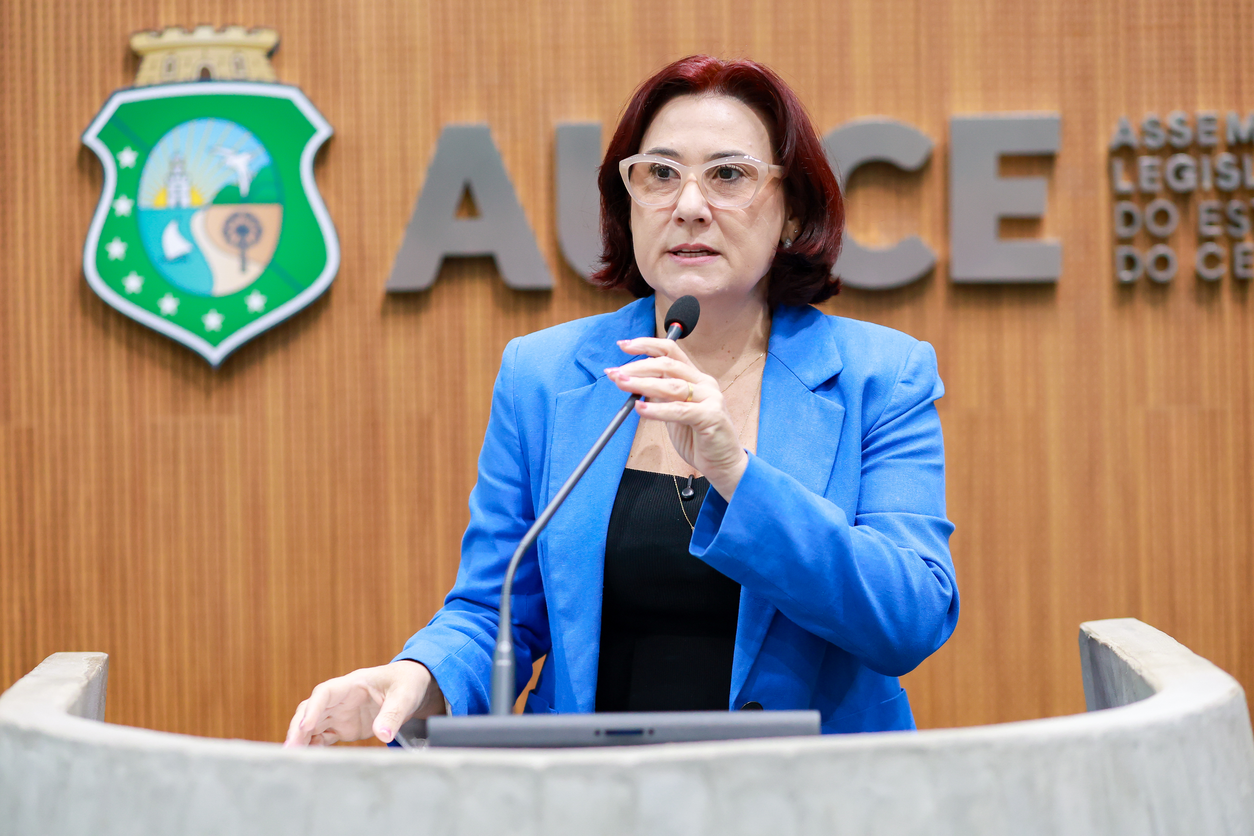 Deputada Emilia Pessoa (PSDB)
