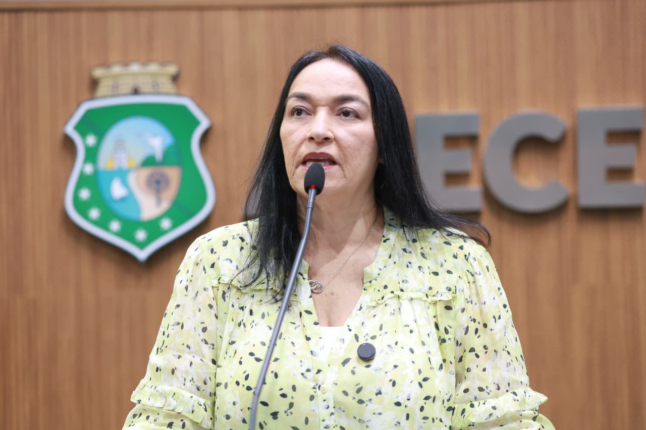Deputada Dra. Silvana (PL)