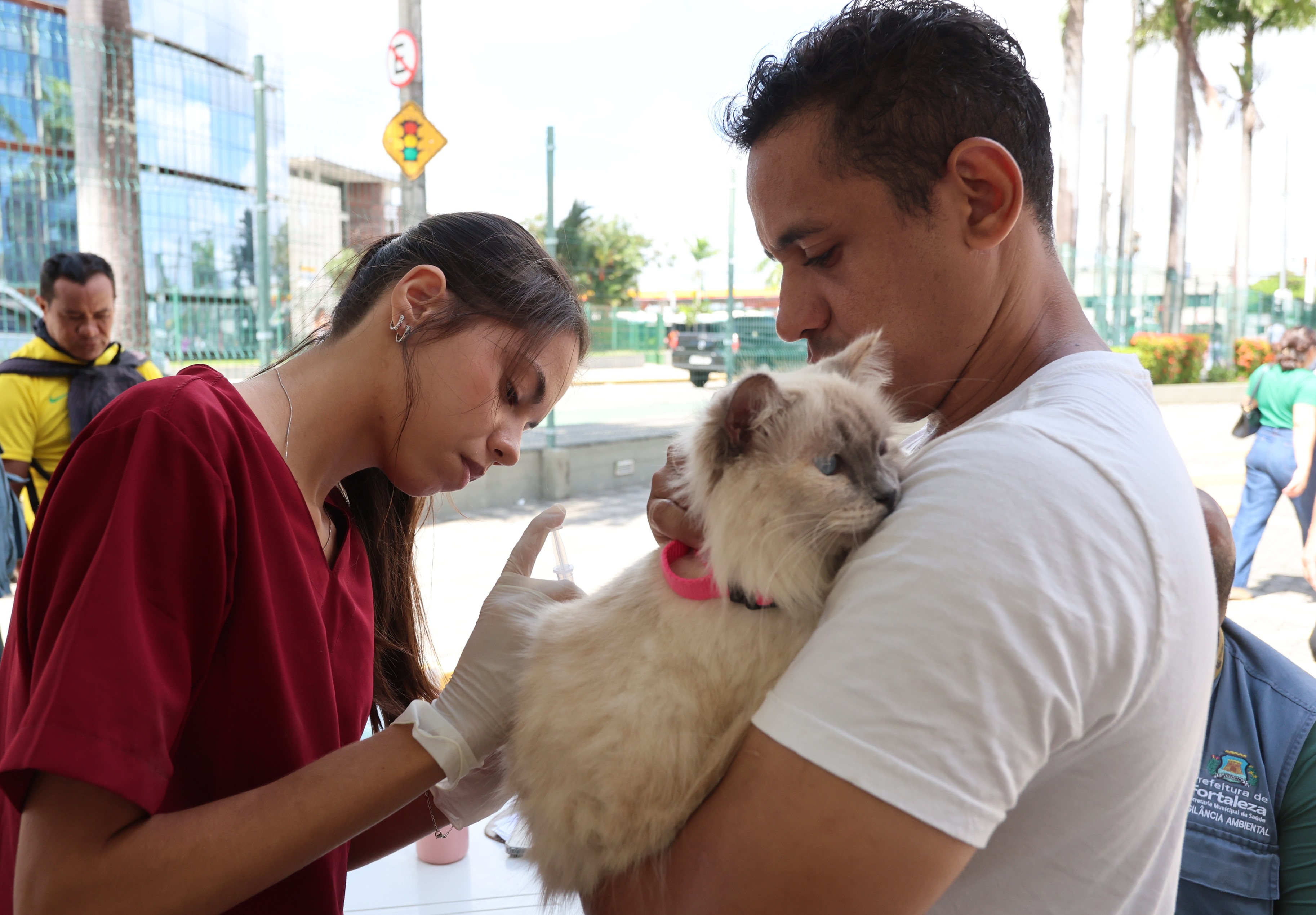Segunda edição do Alece Pet promove ações de bem-estar animal e campanha de adoção de cães