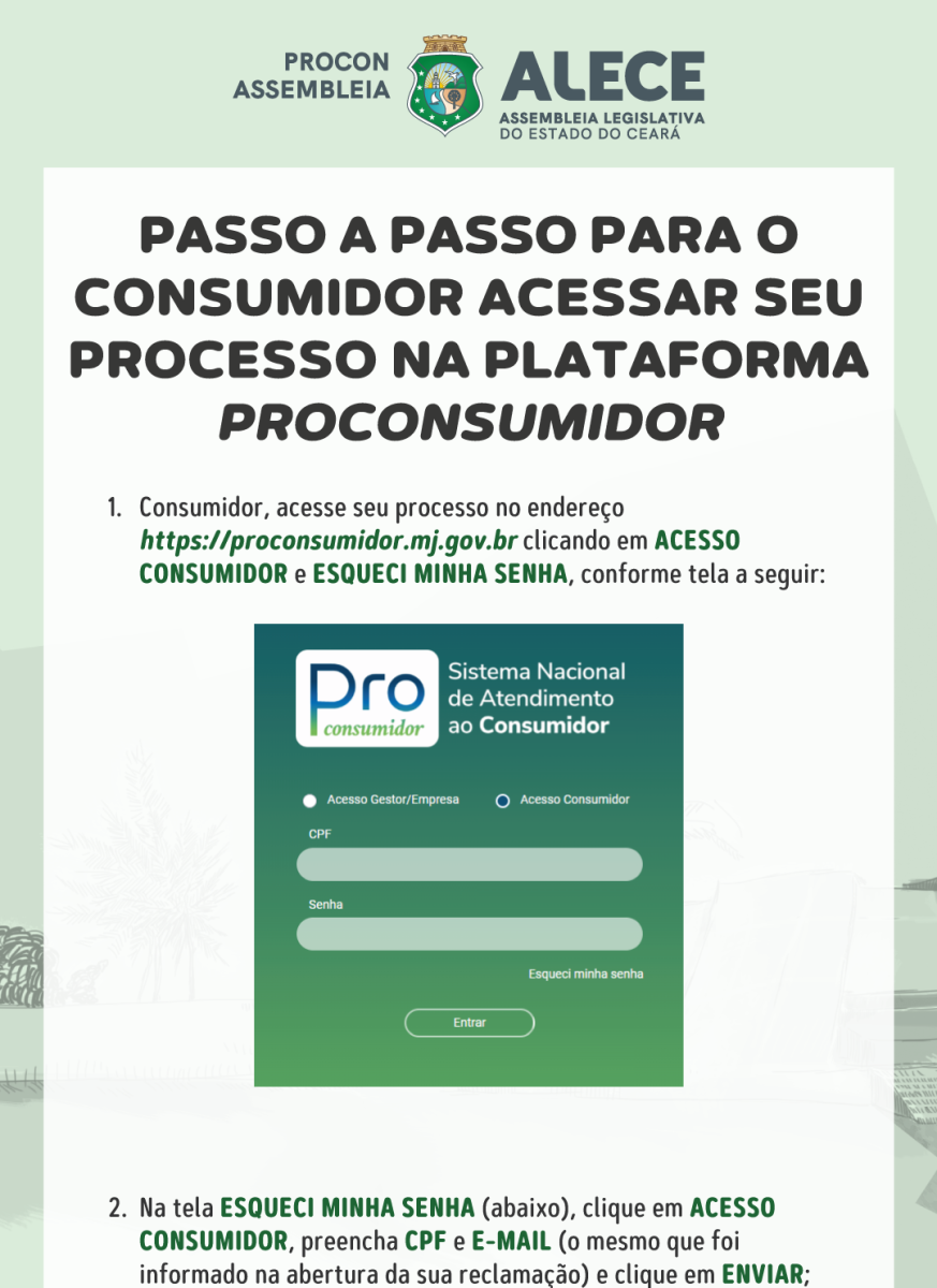 PASSO A PASSO PARA O CONSUMIDOR ACESSAR SEU PROCESSO - PROCON ALECE