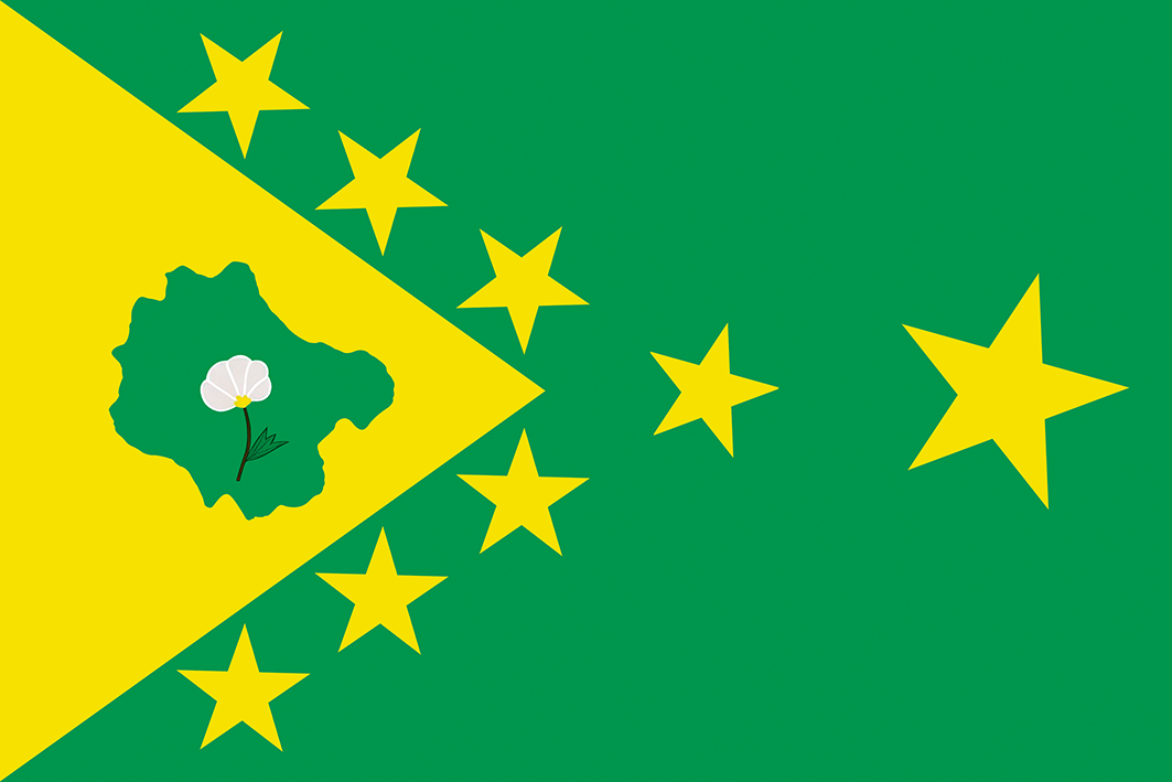 Bandeira de Cedro