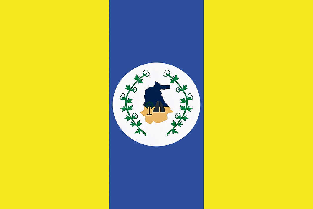Bandeira de Itapipoca