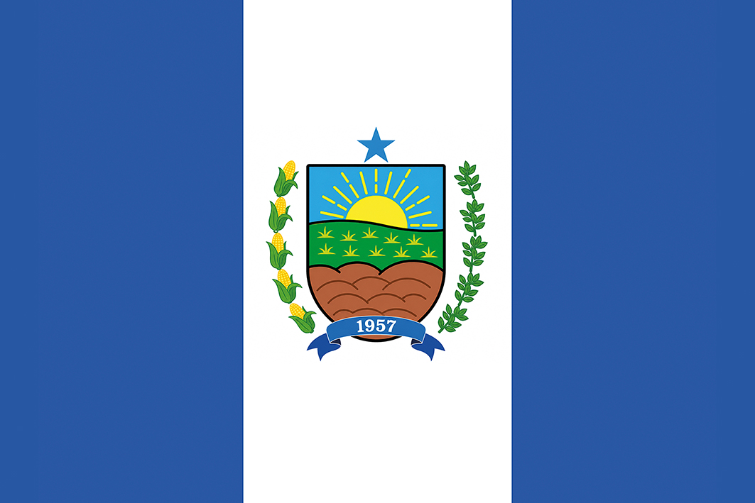 Bandeira de Novo Oriente