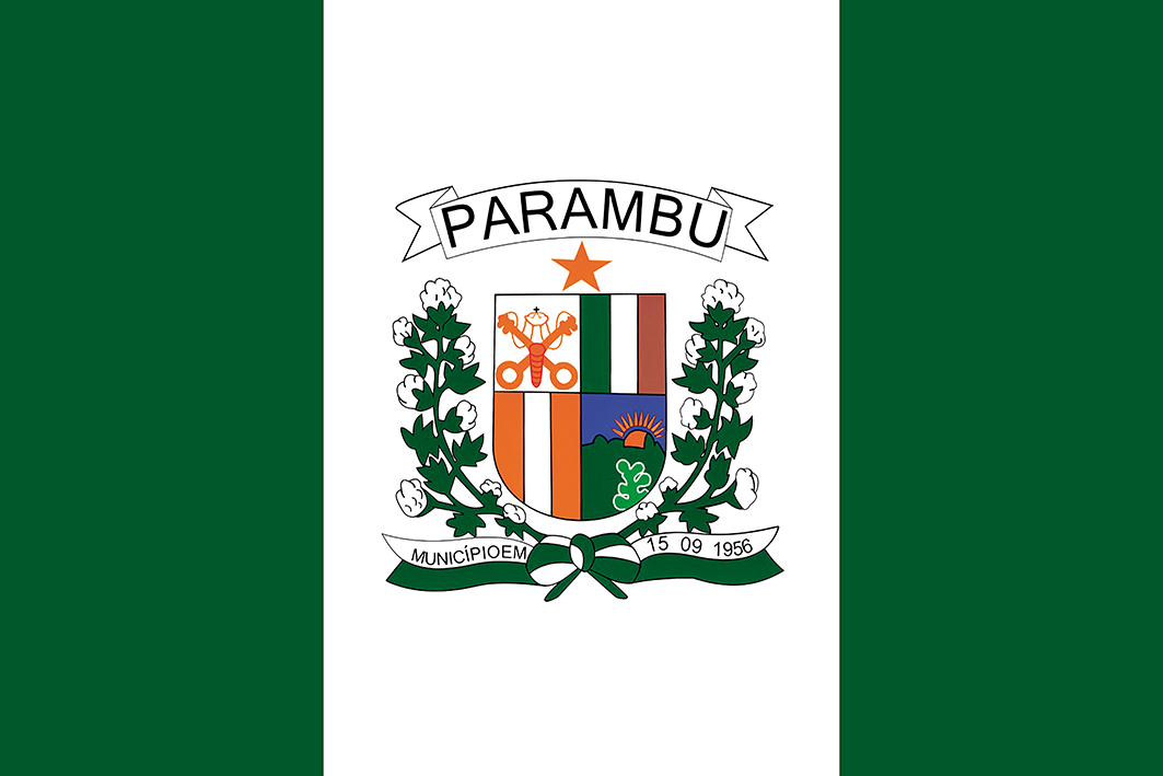 Bandeira de Parambu