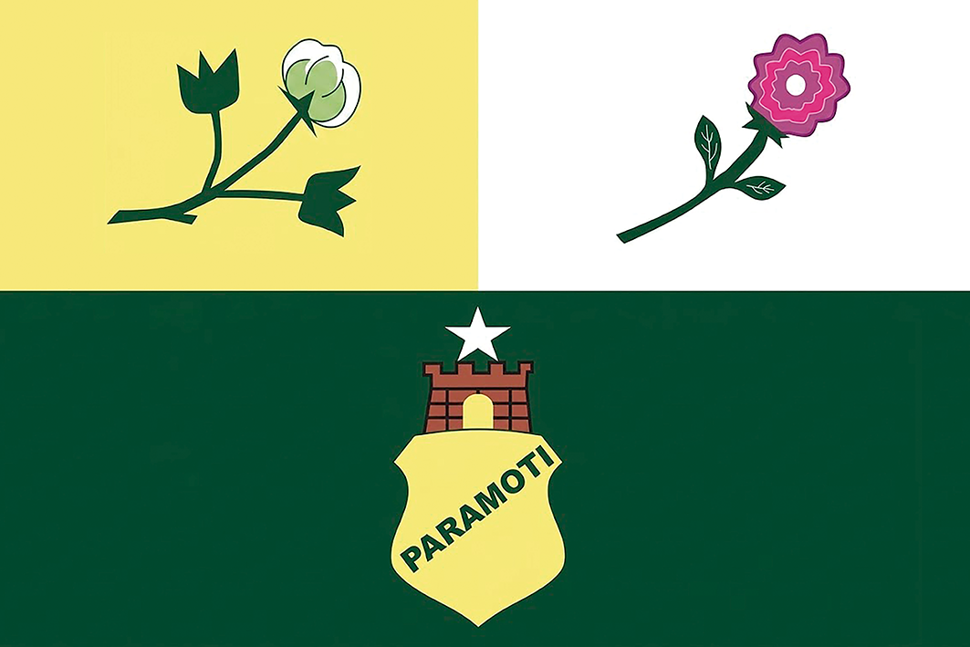 Bandeira de Paramoti