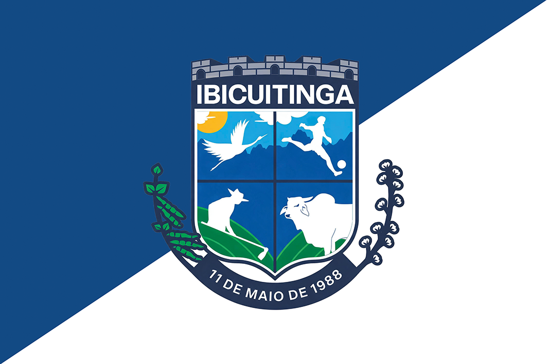 Bandeira de Ibicuitinga