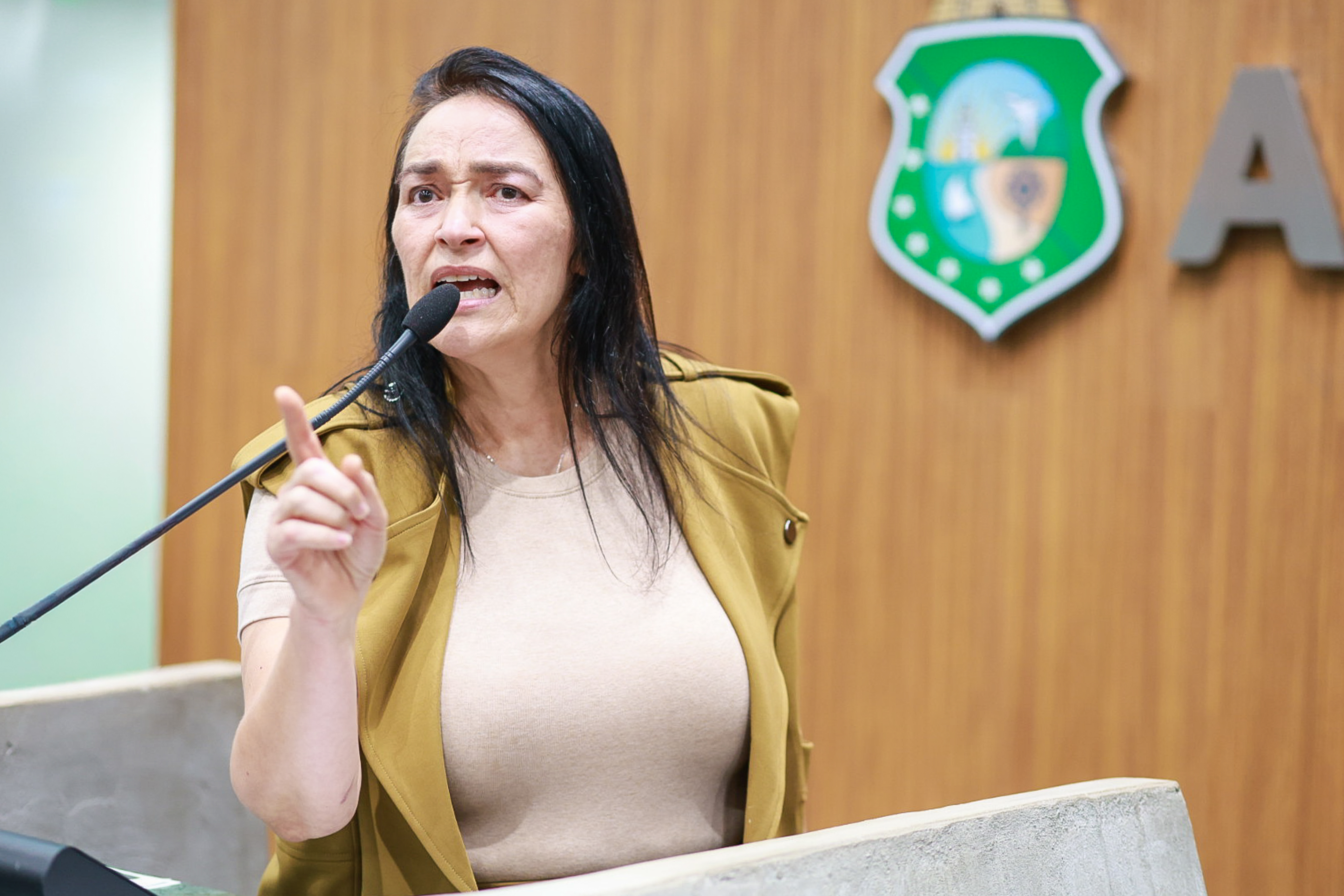 Deputada Dra. Silvana (PL)
