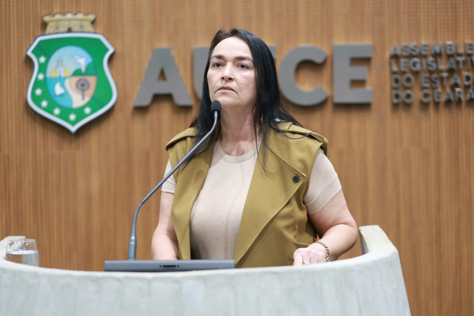 A deputada Dra. Silvana (PL) falou também no segundo expediente da sessão plenária.
