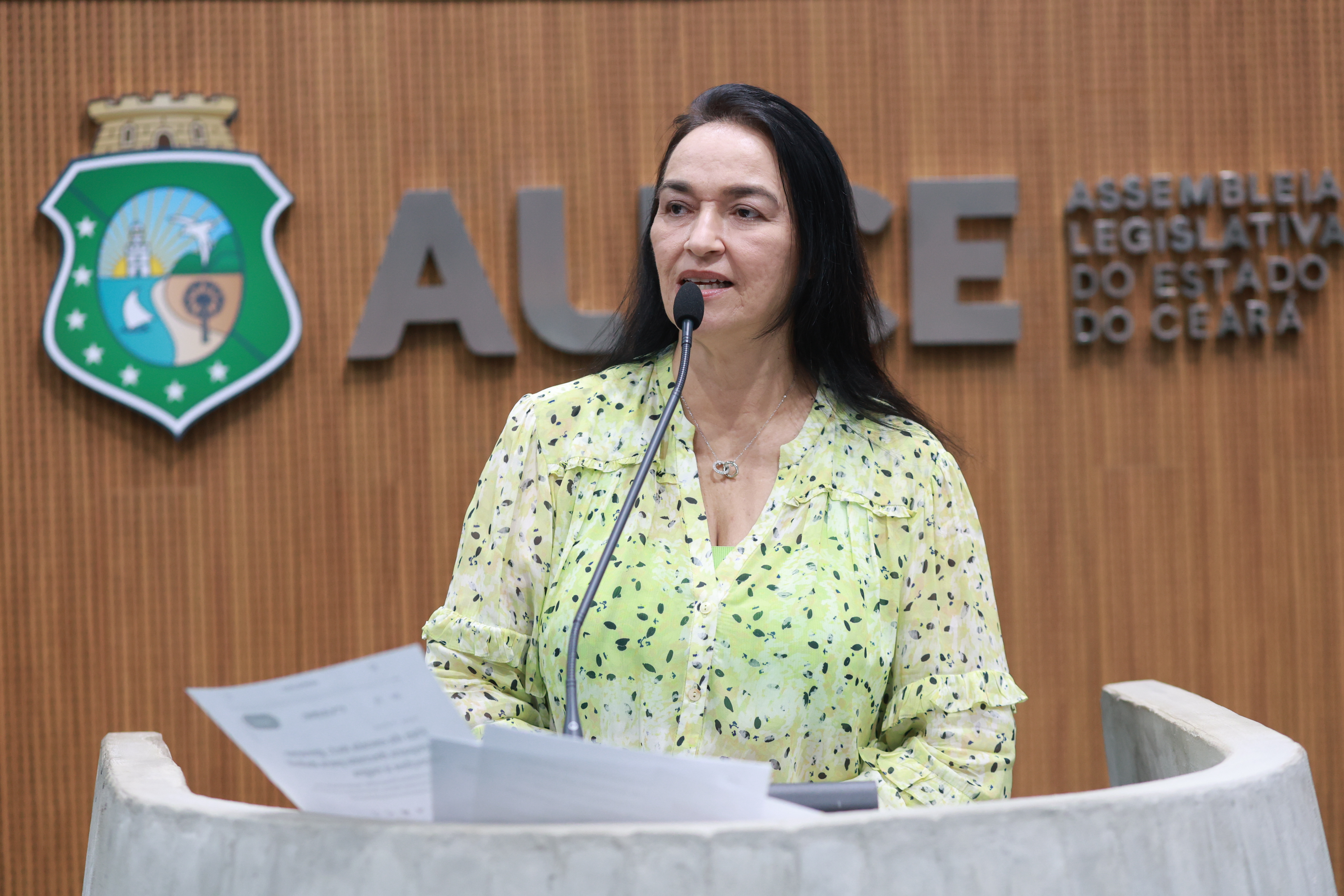 Dra. Silvana (PL)