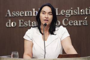 Dep. Dra. Silvana ( PMDB)