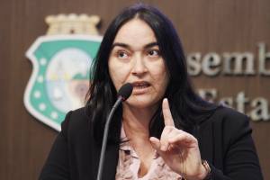 Dep. Dra. Silvana ( PMDB)