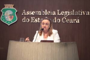 Dep. Eliane Novais (PSB)