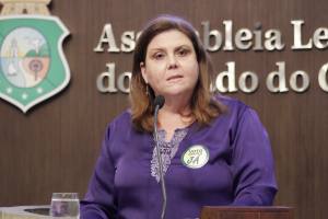 Dep. Fernanda Pessoa (PR)