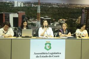 Seminário - Procuradoria Especial da Mulher