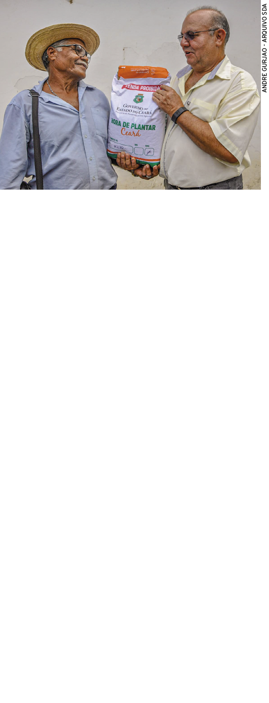  HORA DE PLANTAR O projeto Hora de Plantar teve sua origem na década de 1980  Por meio dessa iniciativa, são distribu   