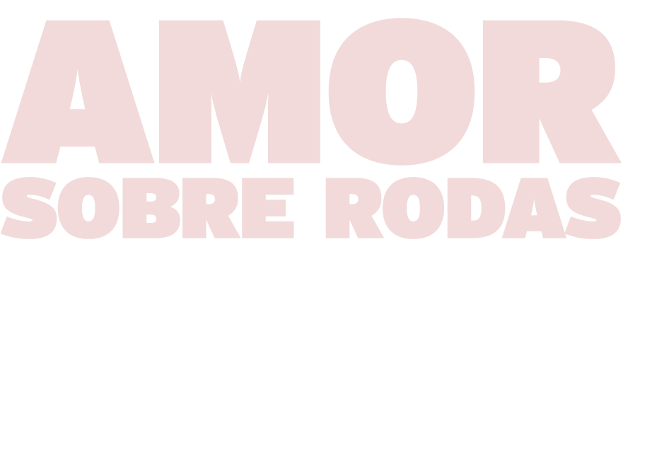 AMOR SOBRE RODAS Um olhar de gratidão vale mais do que mil palavras  É dessa forma que animais com limitações físicas   