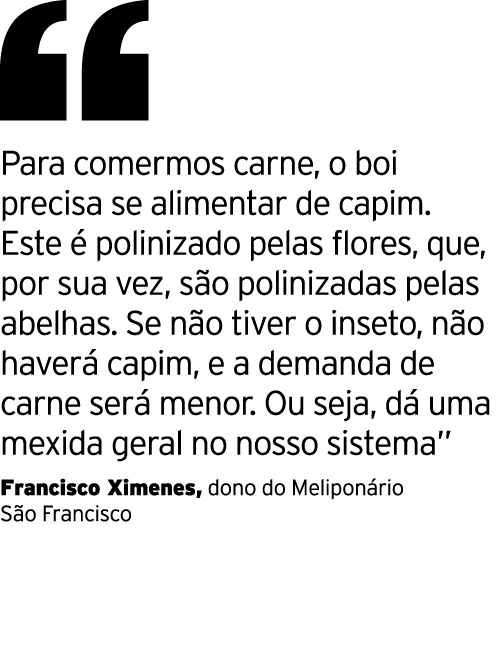  Para comermos carne, o boi precisa se alimentar de capim  Este é polinizado pelas flores, que, por sua vez, são poli   