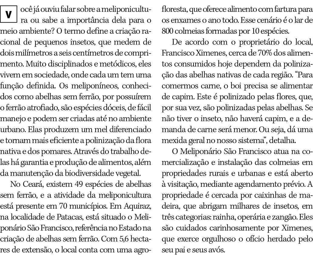  ocê já ouviu falar sobre a meliponicultura ou sabe a importância dela para o meio ambiente  O termo define a criação   